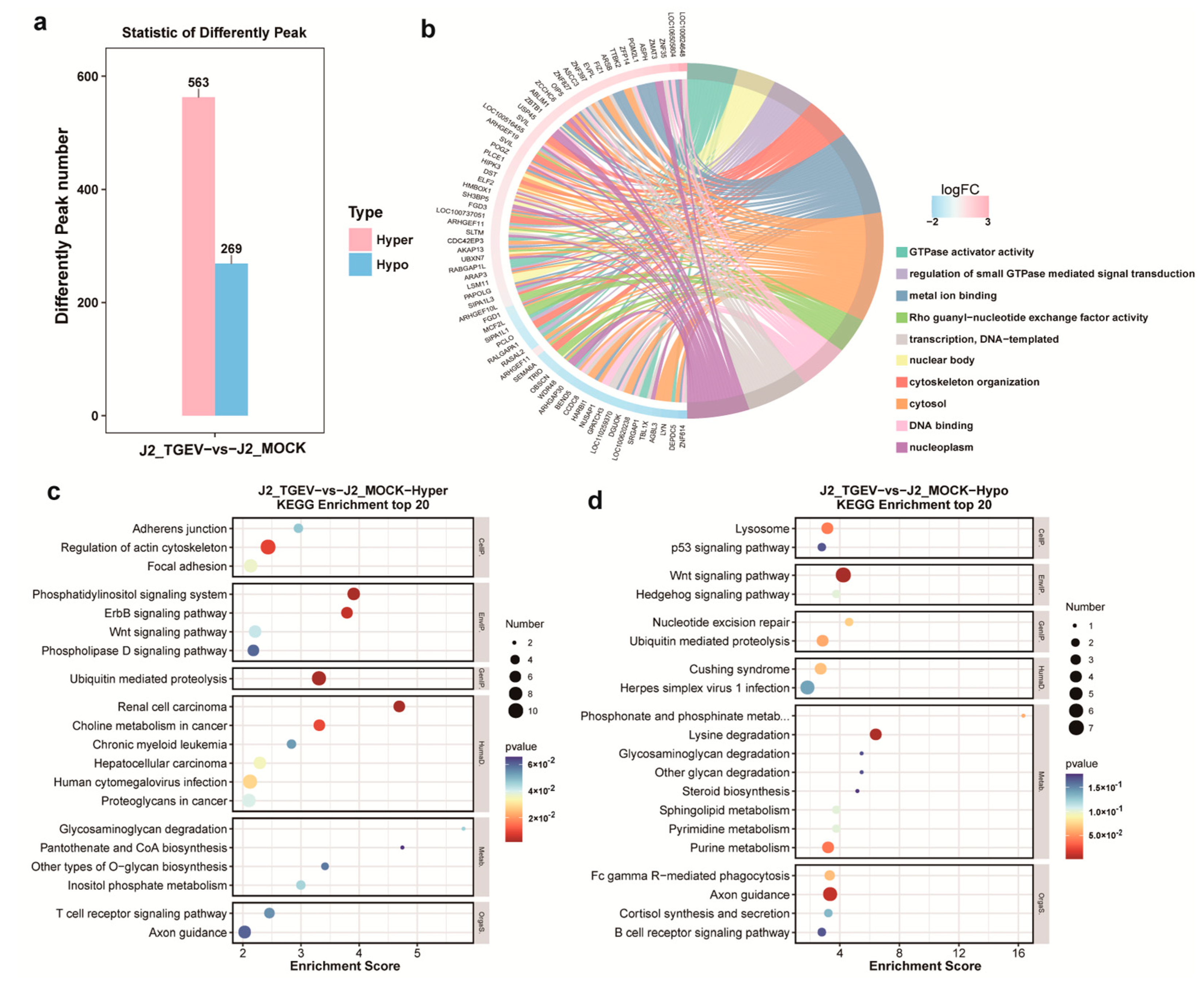 Vetsci 13 00010 g003 Vetsci 13 00010 g003