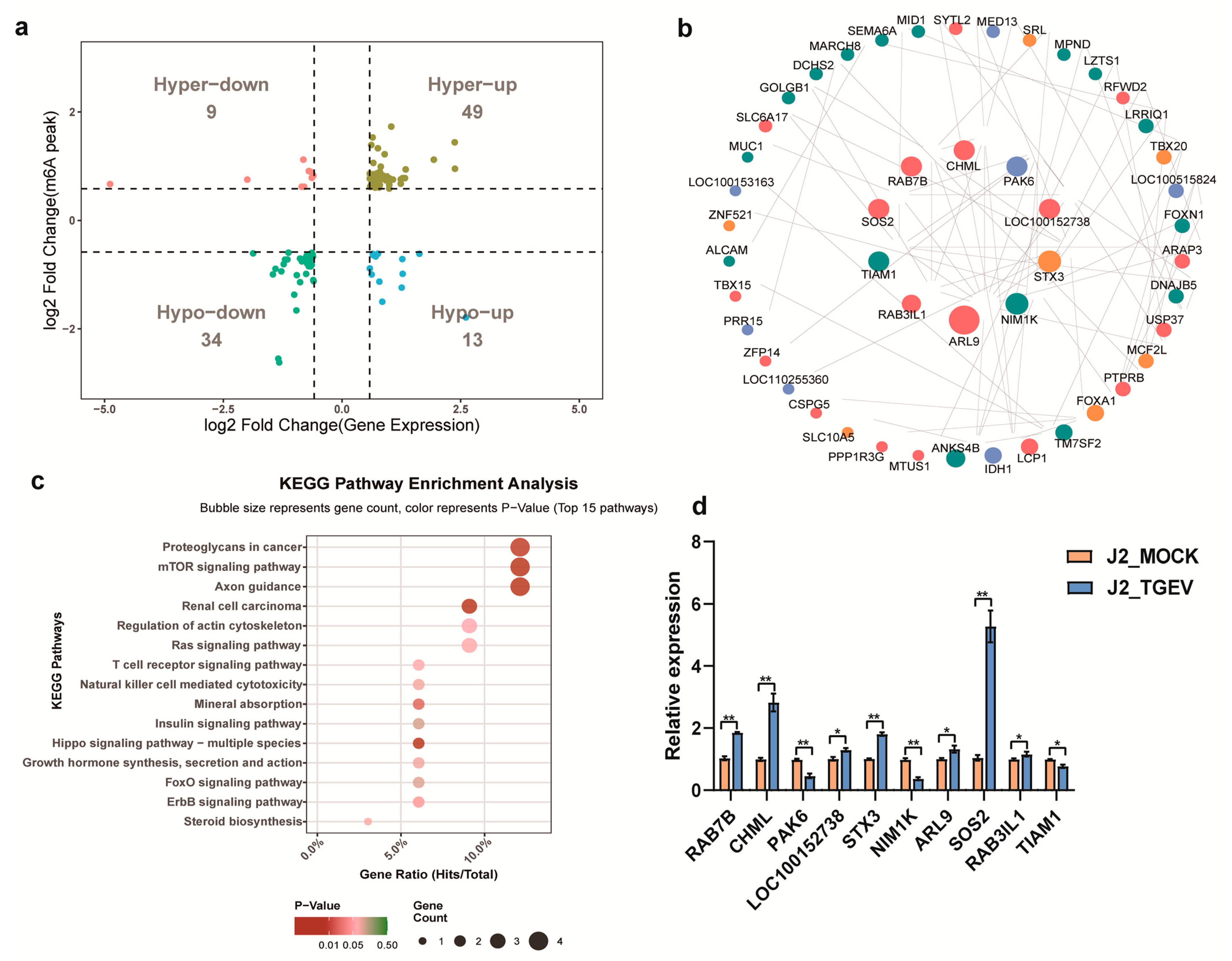 Vetsci 13 00010 g006 Vetsci 13 00010 g006