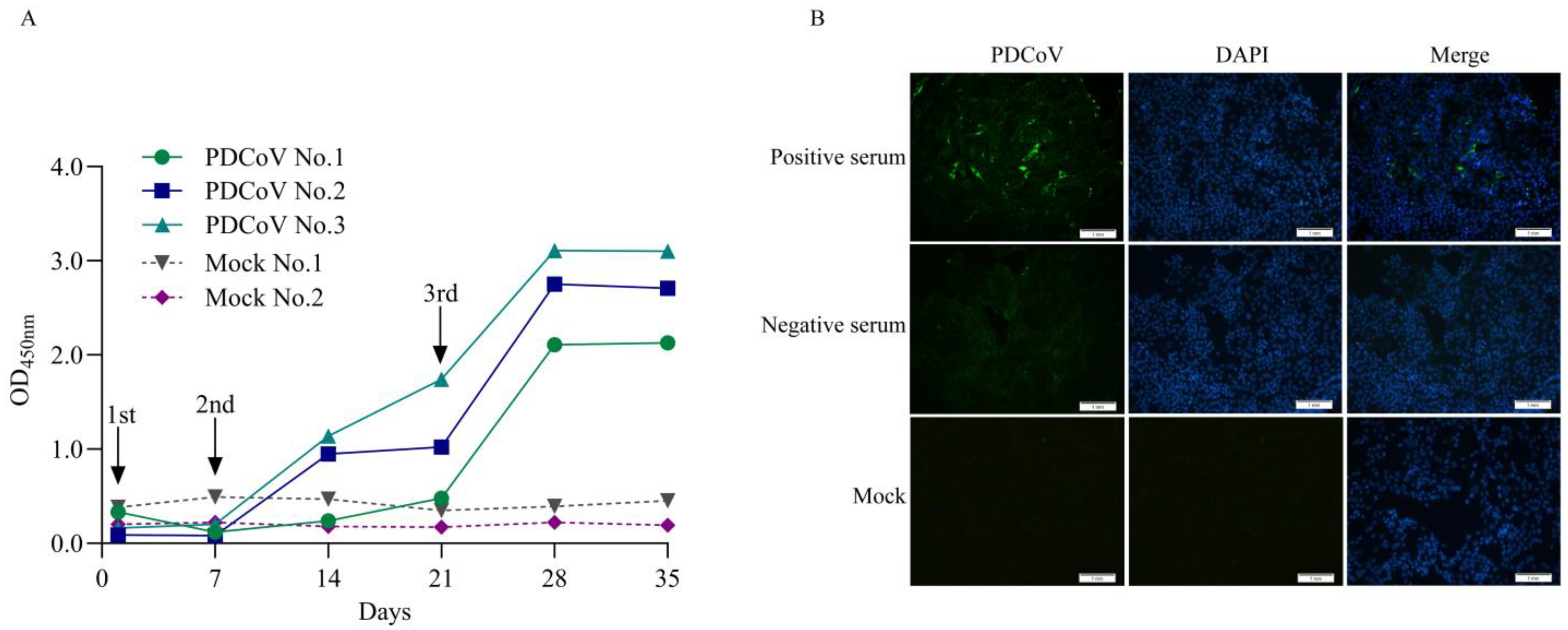 Vetsci 13 00012 g002