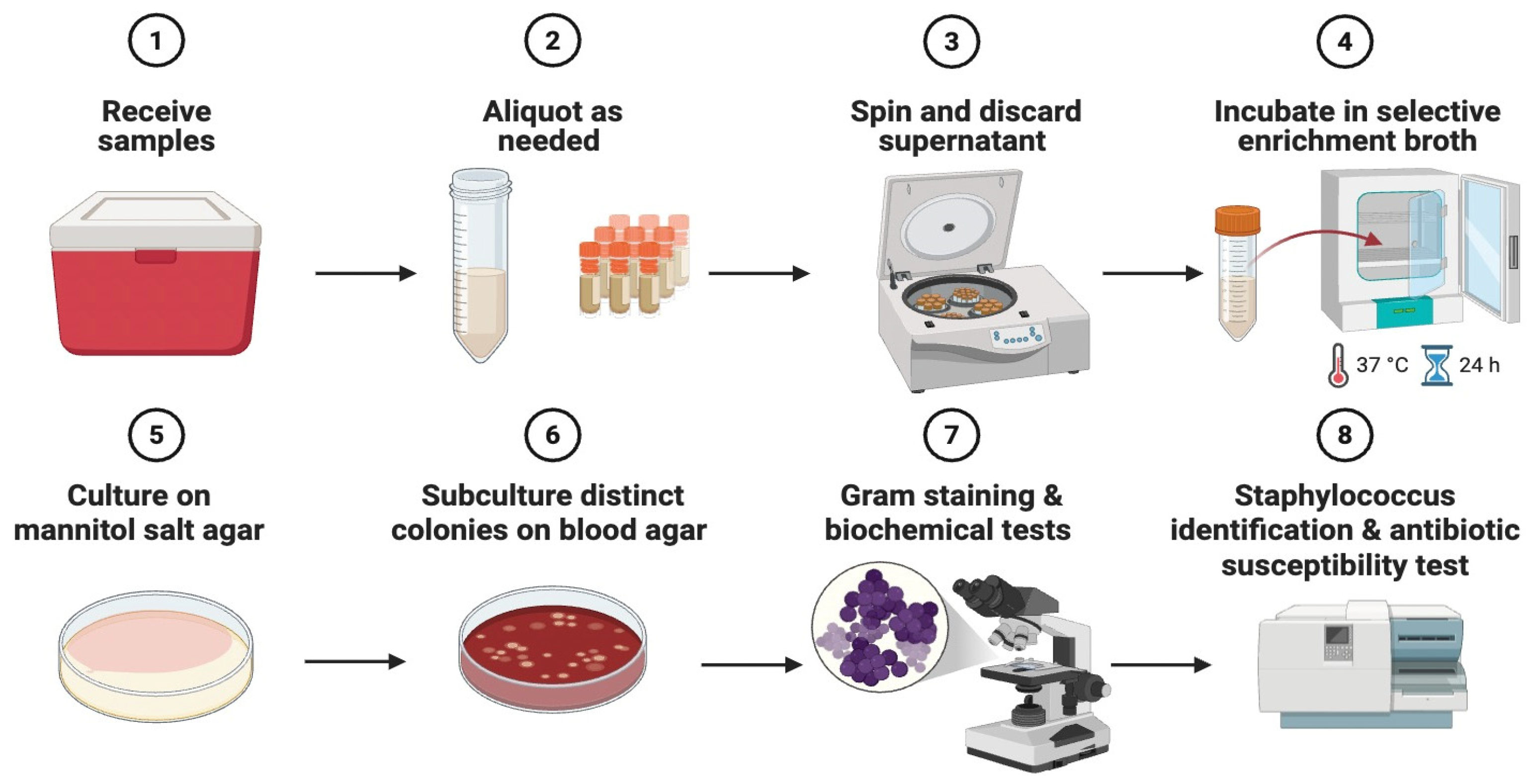 Vetsci 13 00014 g001