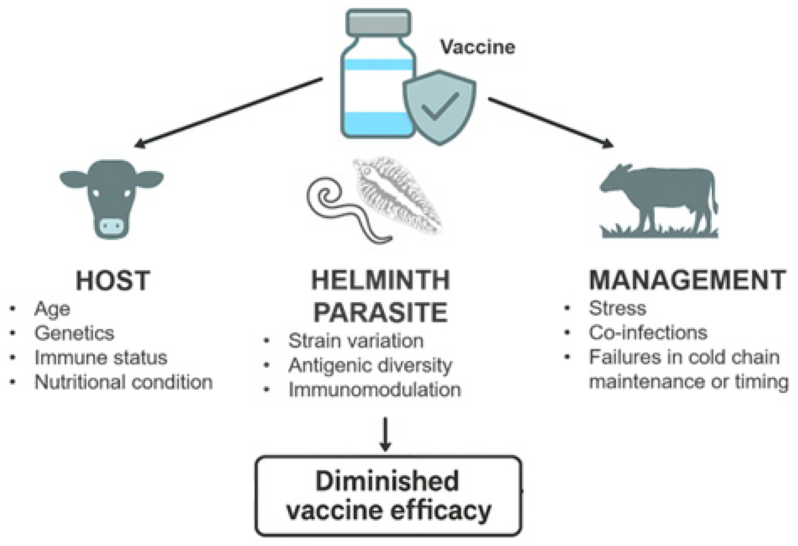 Vetsci 13 00018 g001