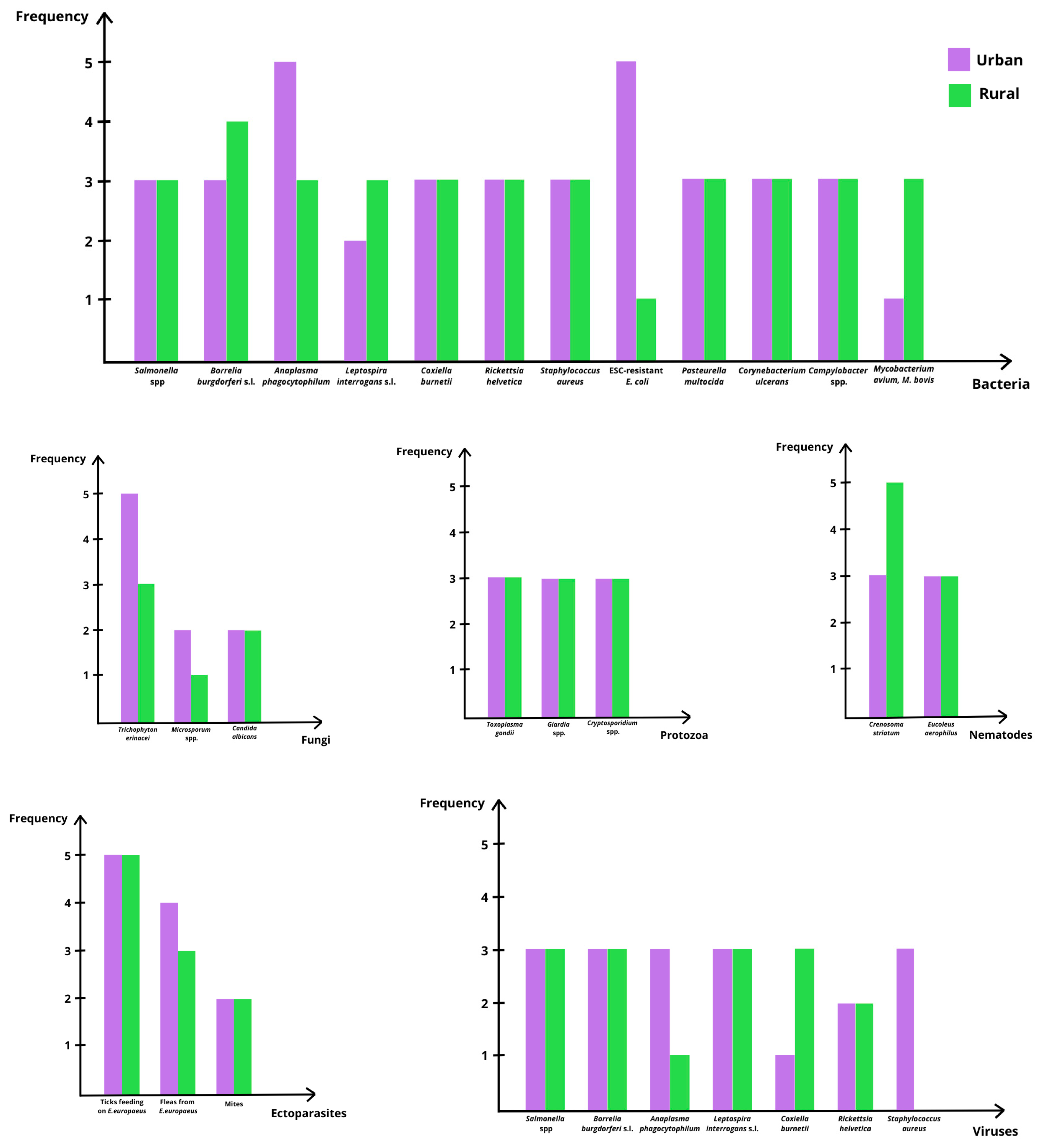 Vetsci 13 00029 g002