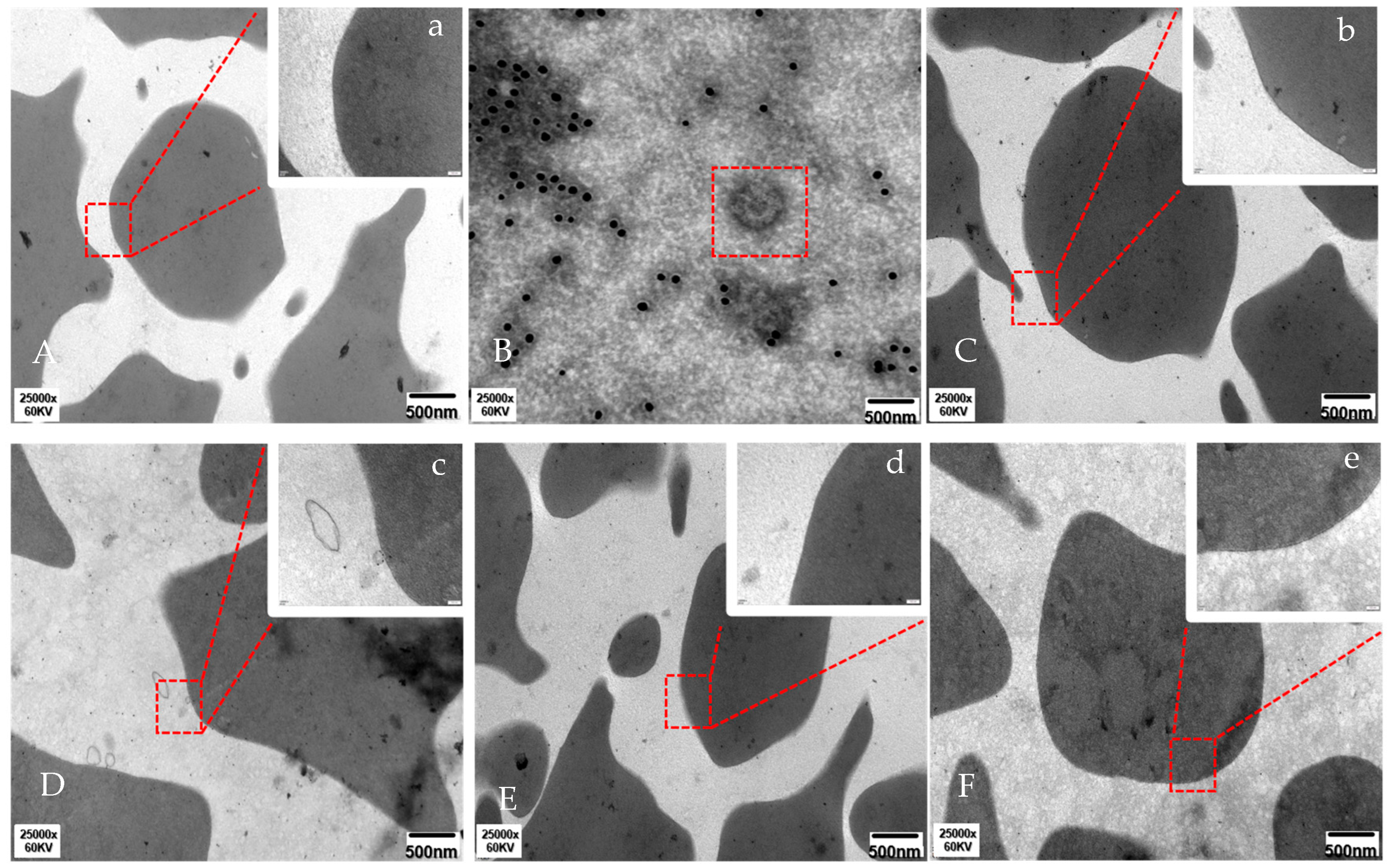 Vetsci 13 00033 g002 Vetsci 13 00033 g002