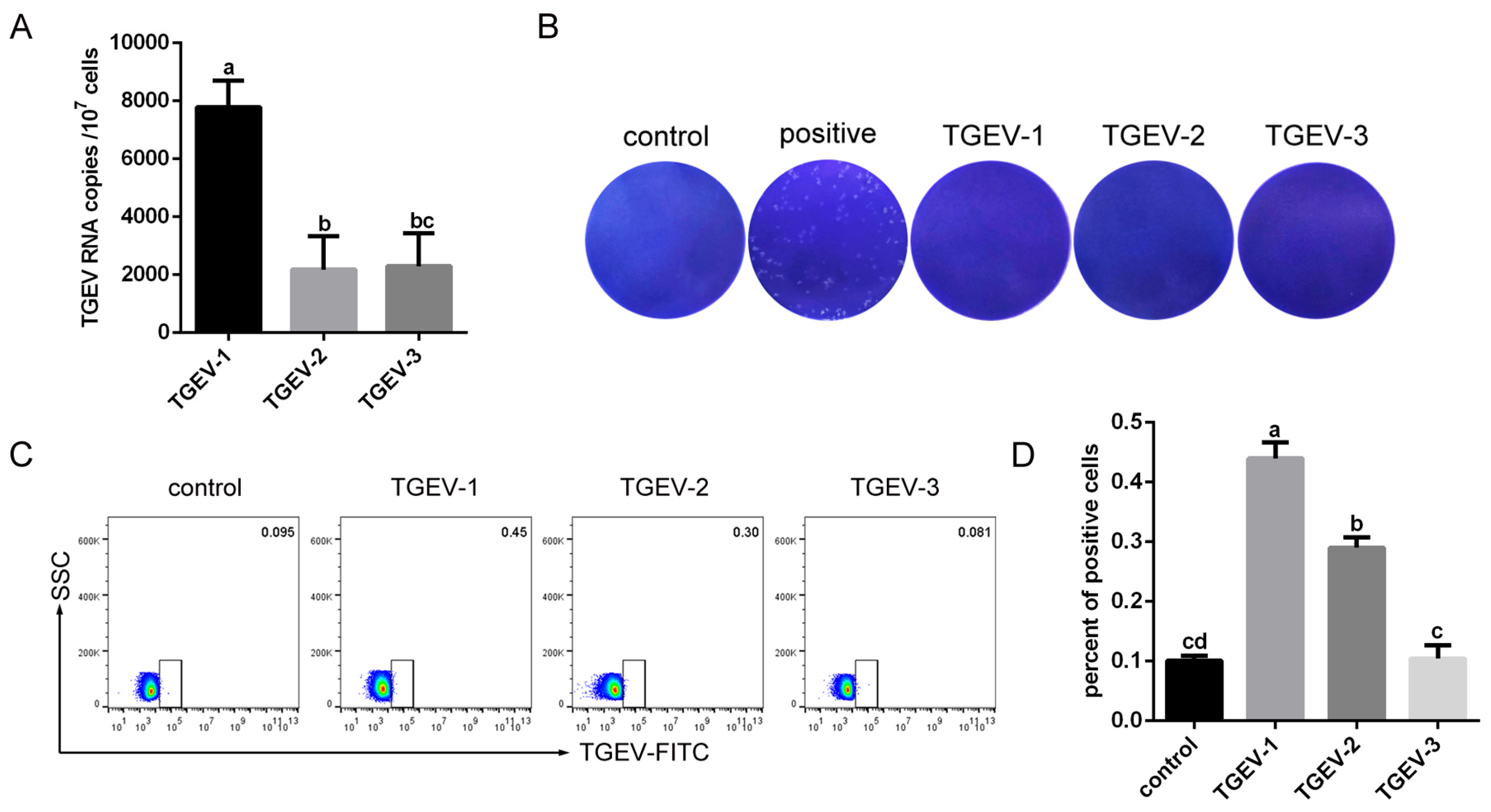 Vetsci 13 00042 g002 Vetsci 13 00042 g002