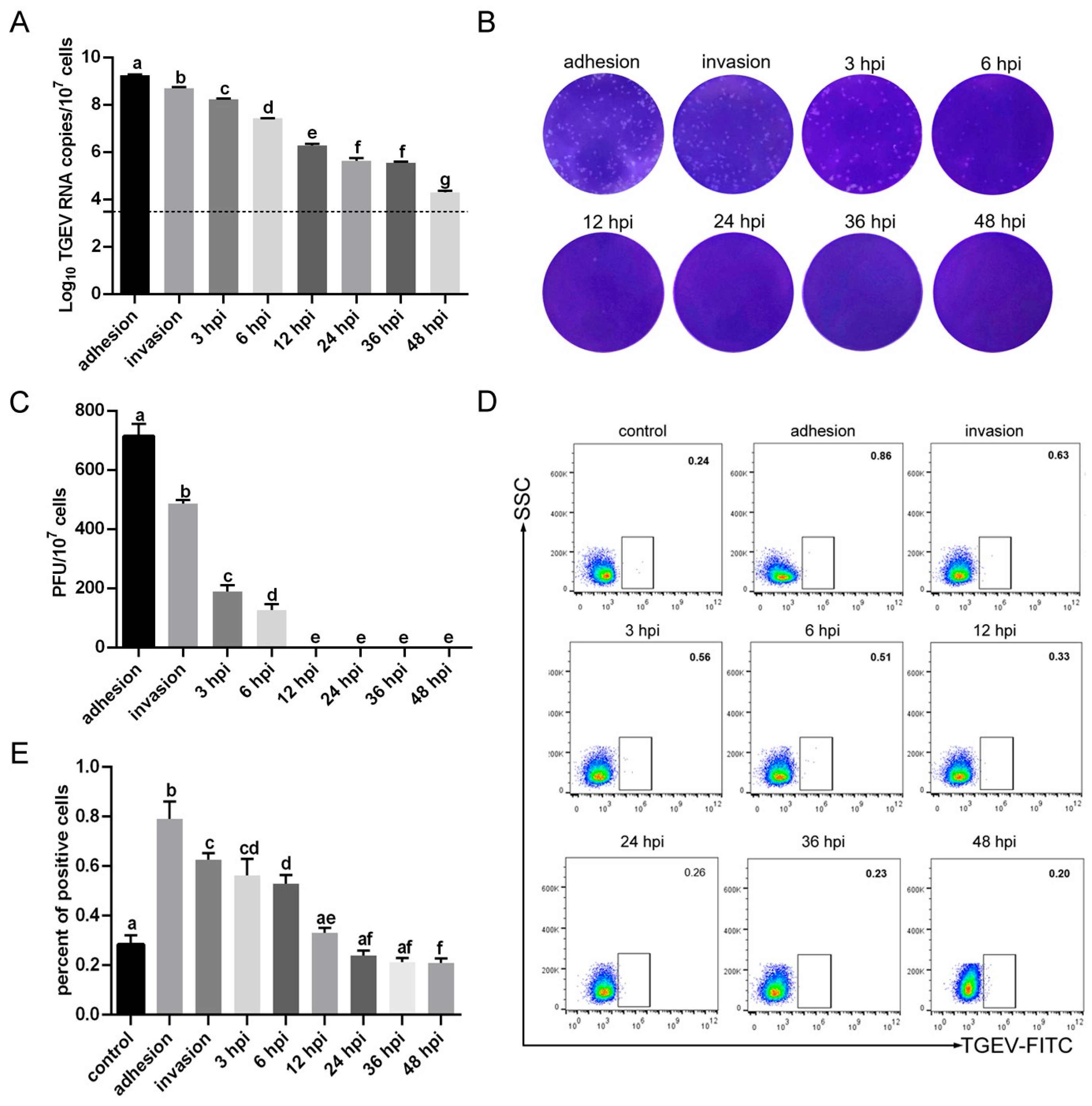 Vetsci 13 00042 g003 Vetsci 13 00042 g003