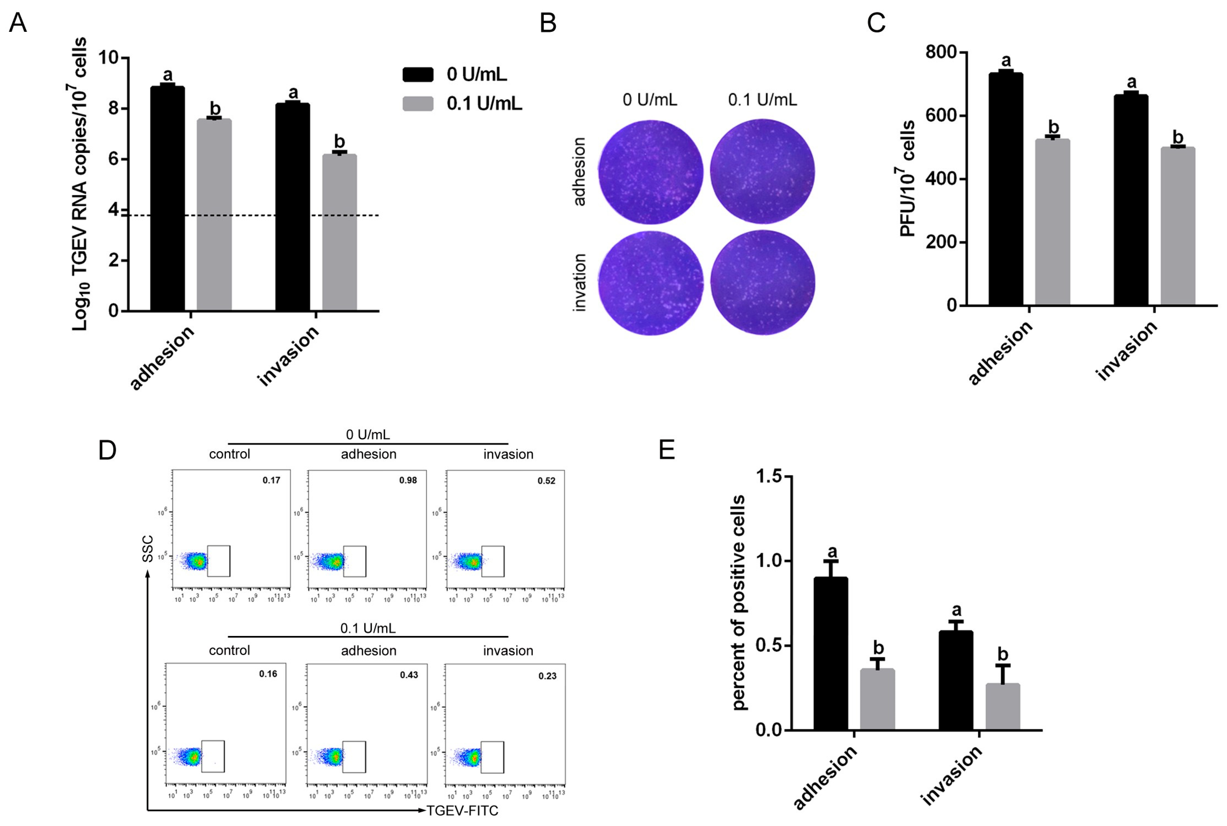 Vetsci 13 00042 g004 Vetsci 13 00042 g004