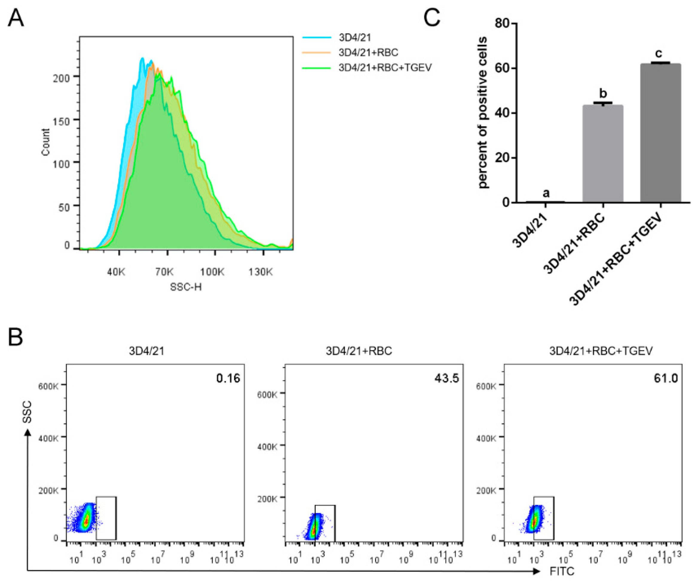 Vetsci 13 00042 g008 Vetsci 13 00042 g008
