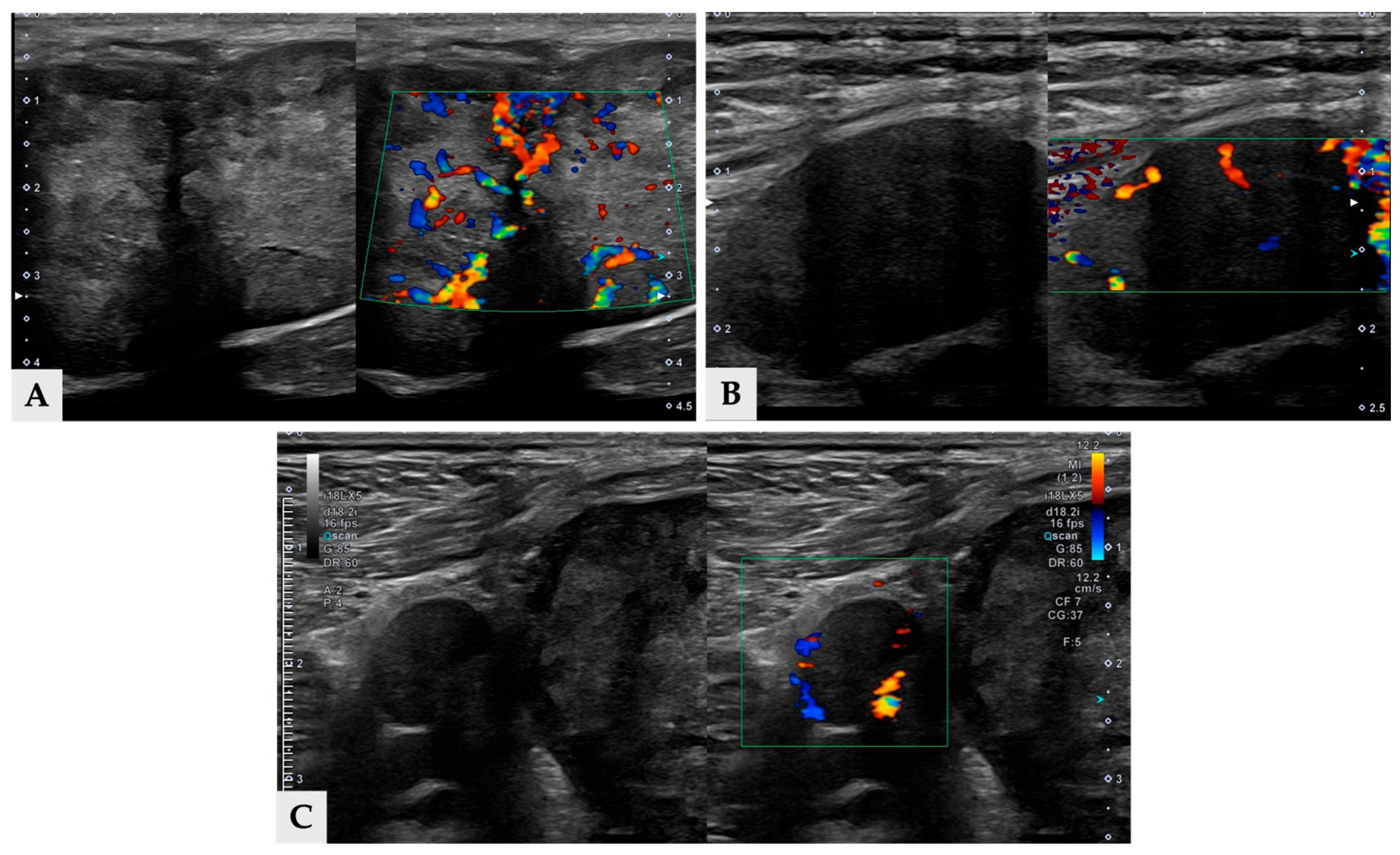 Vetsci 13 00043 g005