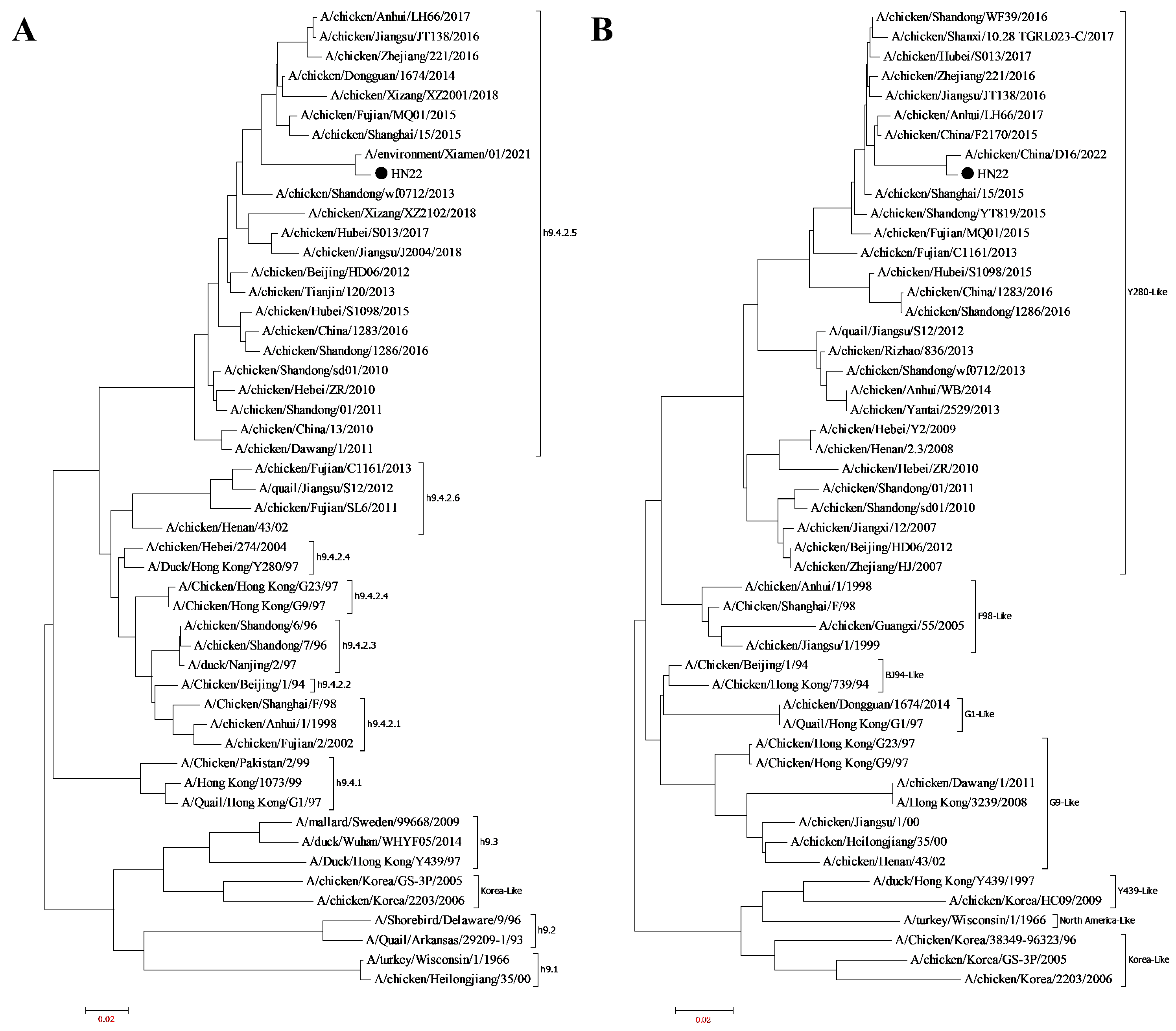 Vetsci 13 00045 g001 Vetsci 13 00045 g001