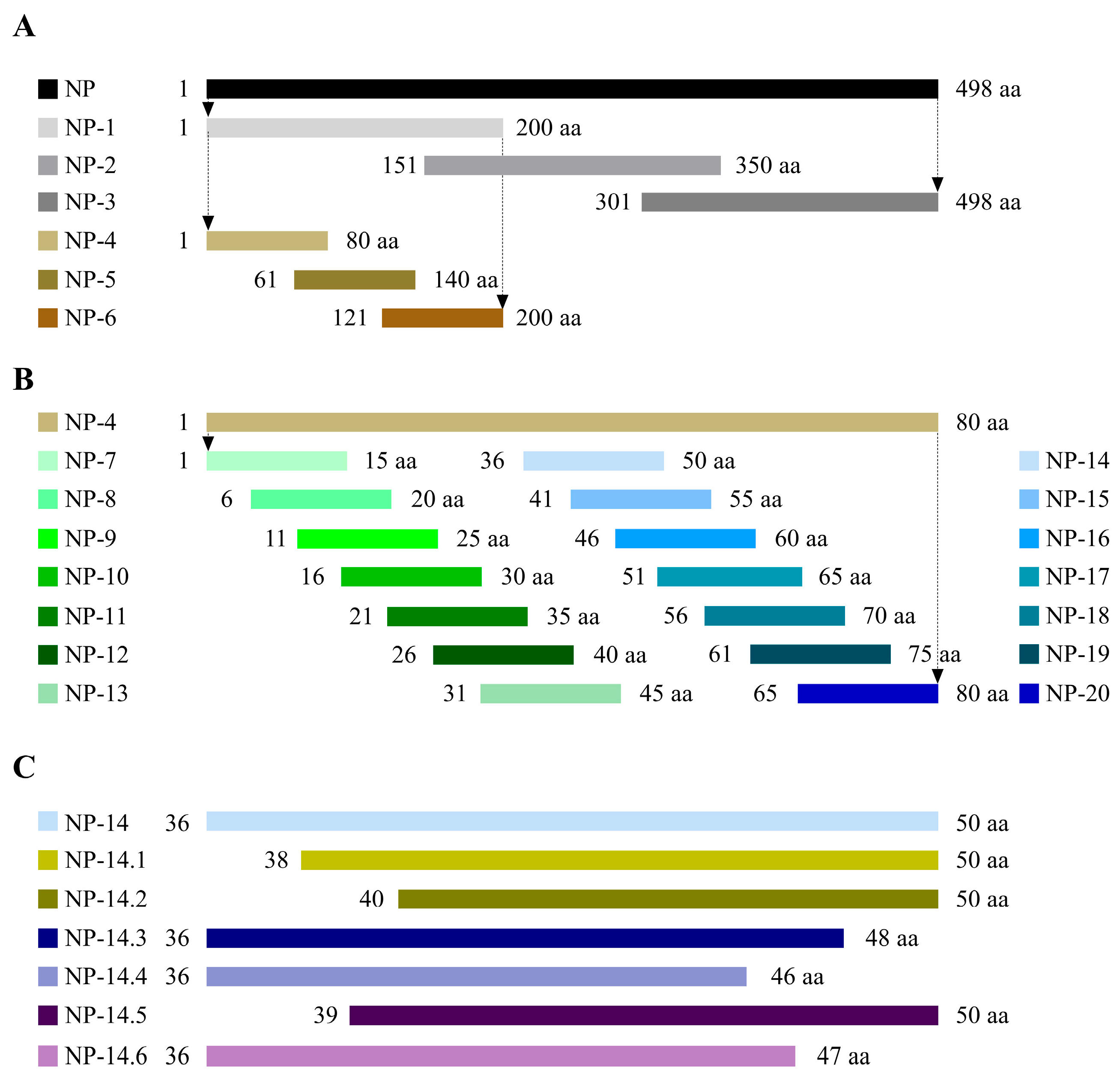 Vetsci 13 00045 g004 Vetsci 13 00045 g004