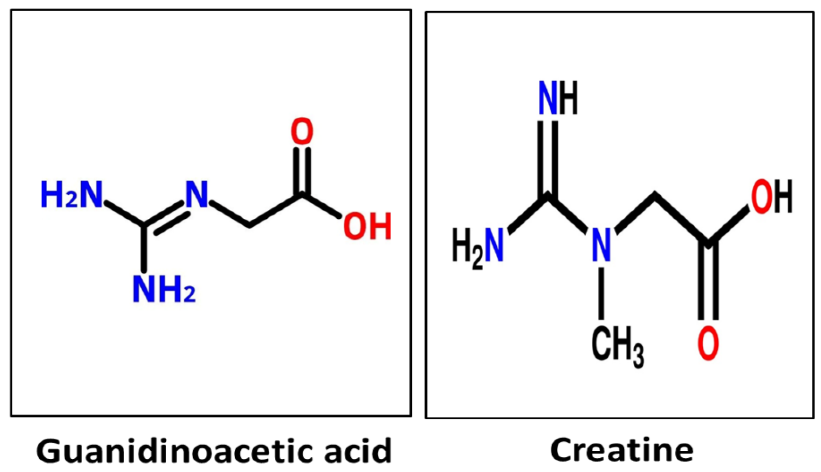 Vetsci 13 00046 g001 Vetsci 13 00046 g001