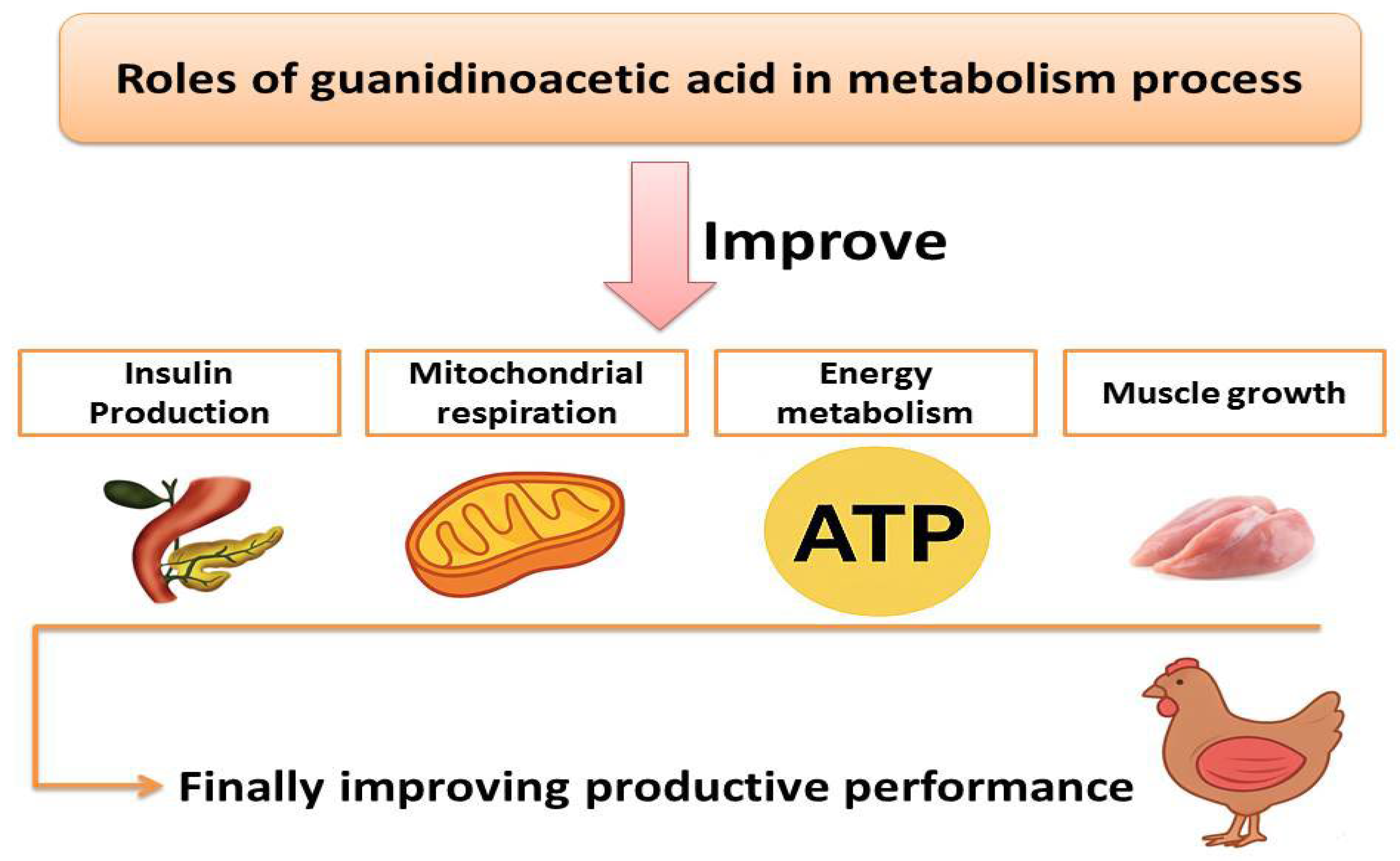 Vetsci 13 00046 g002 Vetsci 13 00046 g002