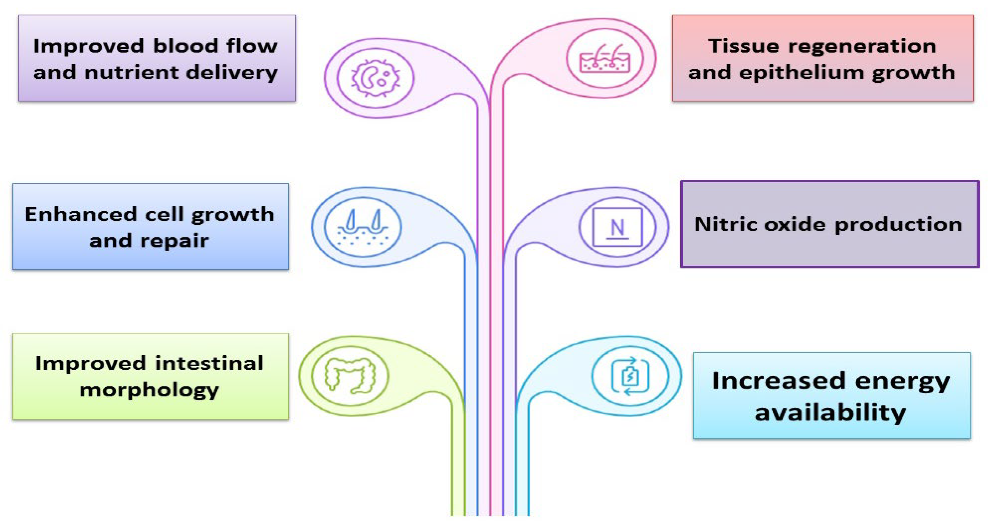 Vetsci 13 00046 g003 Vetsci 13 00046 g003