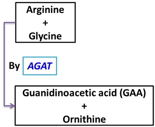 Vetsci 13 00046 i001 Vetsci 13 00046 i001