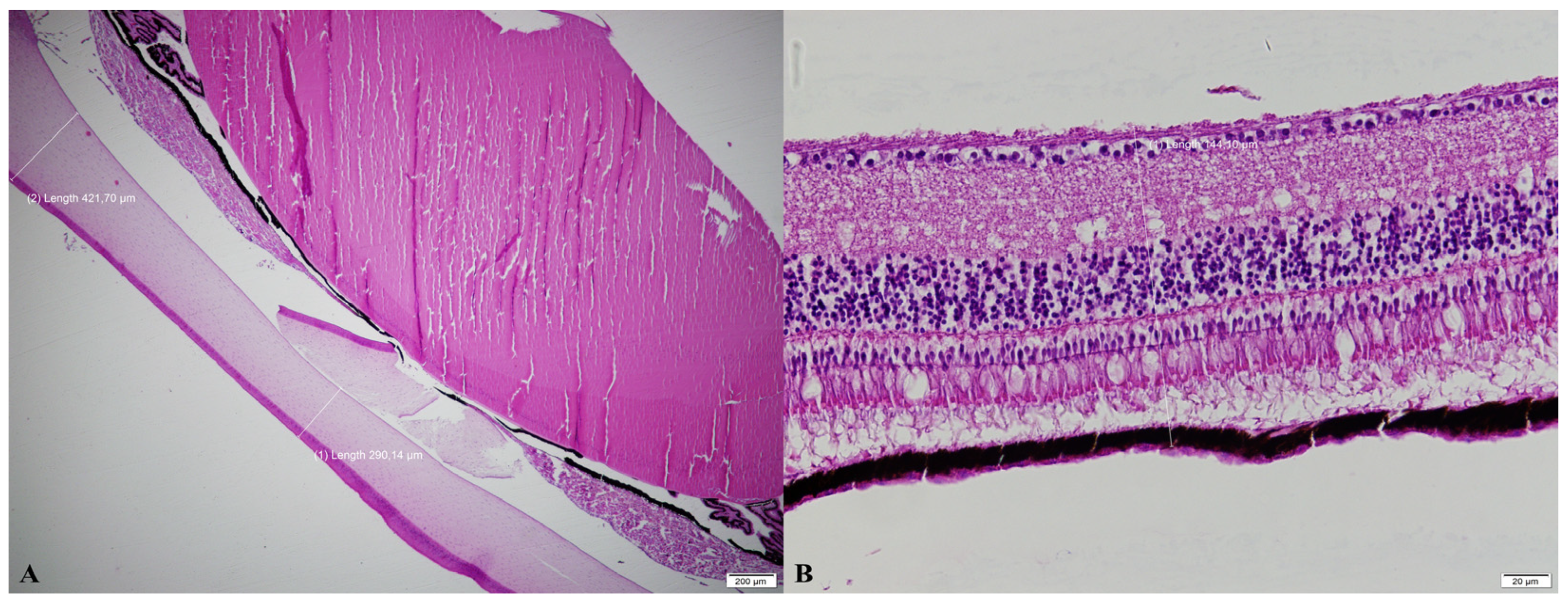 Vetsci 13 00075 g004