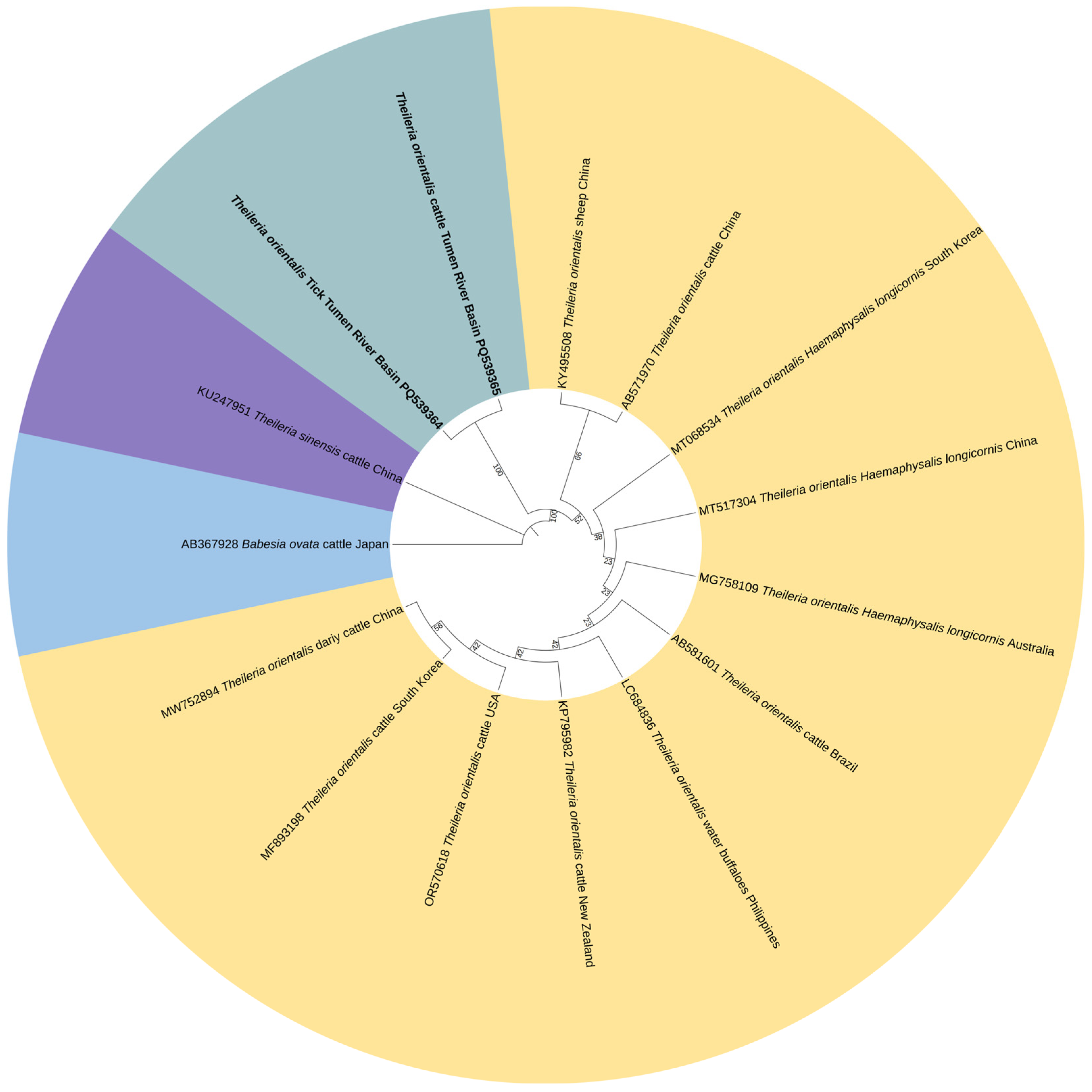 Vetsci 13 00078 g003