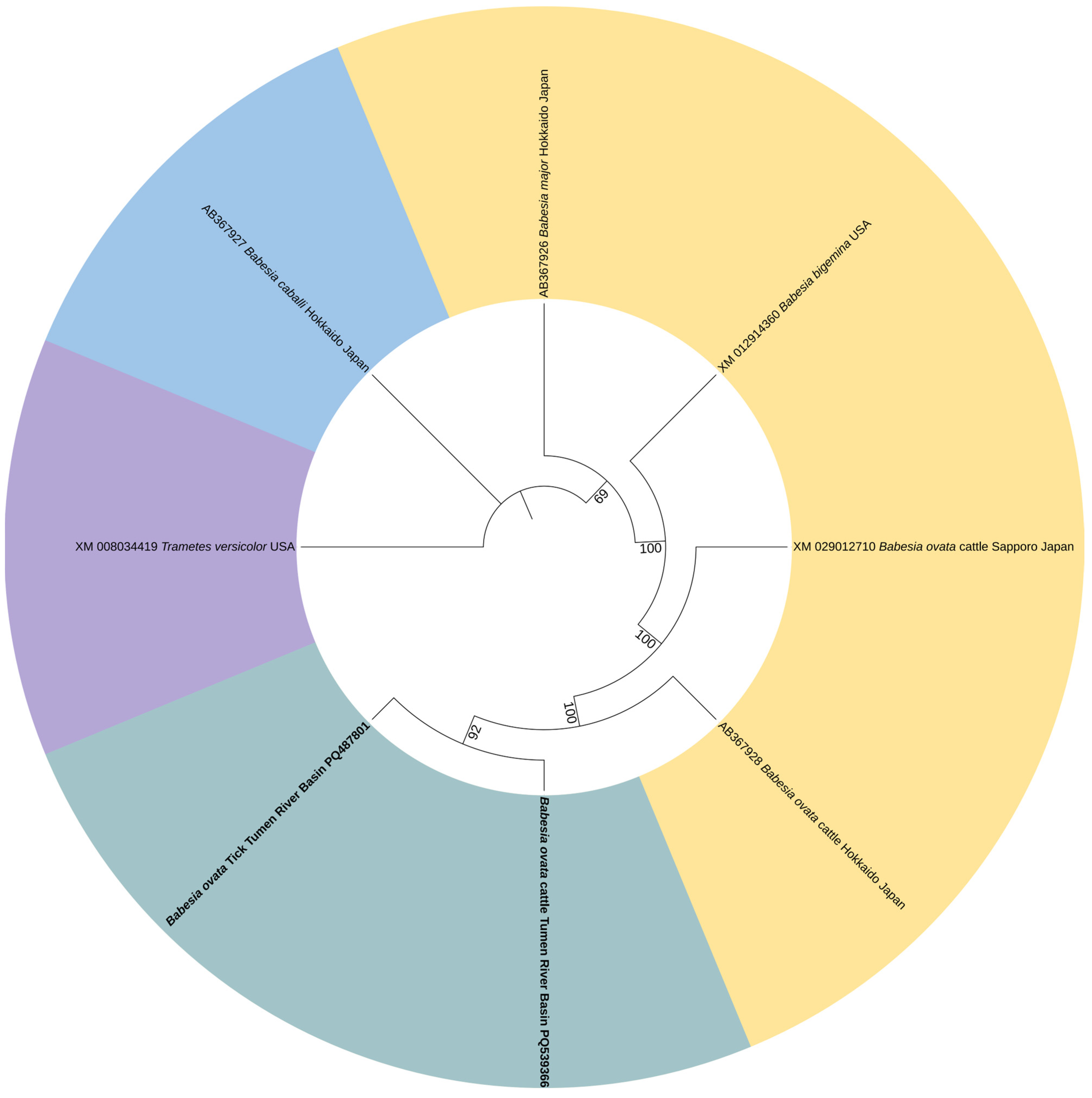 Vetsci 13 00078 g005