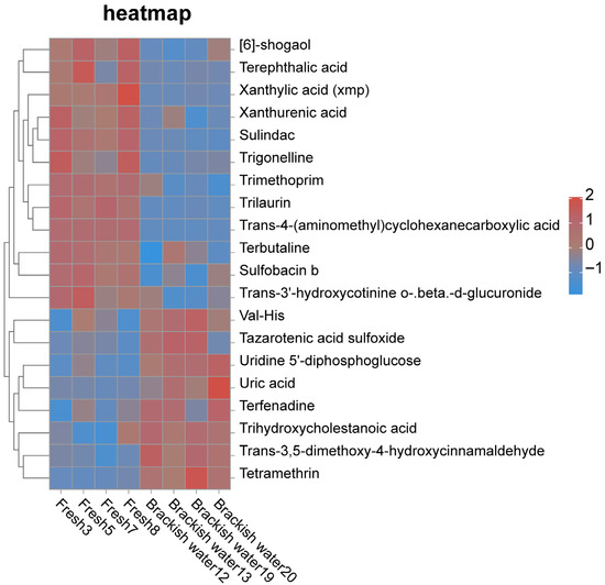 Multi-Omics Analysis Provides Insights into the Key Regulatory