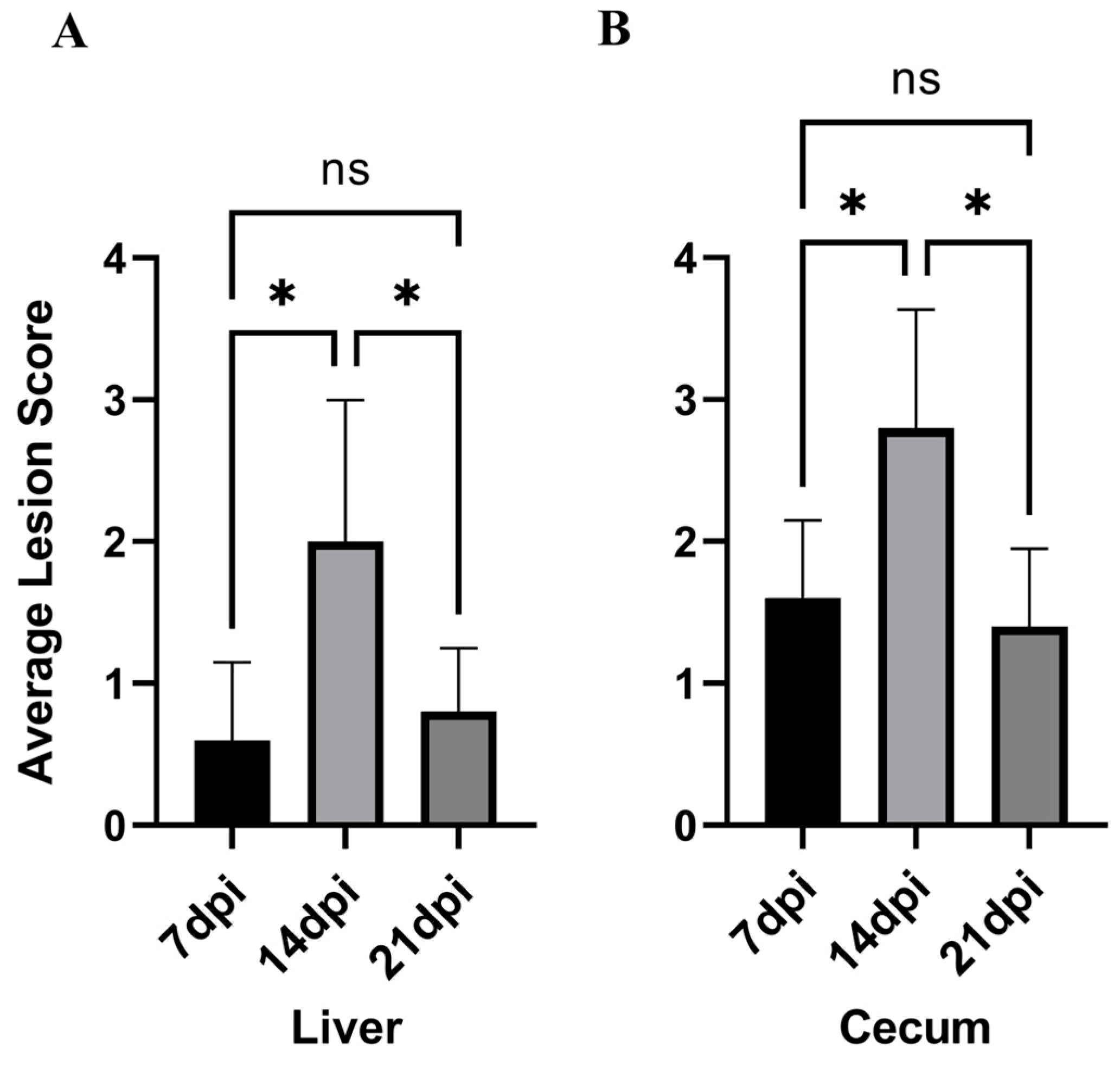 Vetsci 13 00118 g003