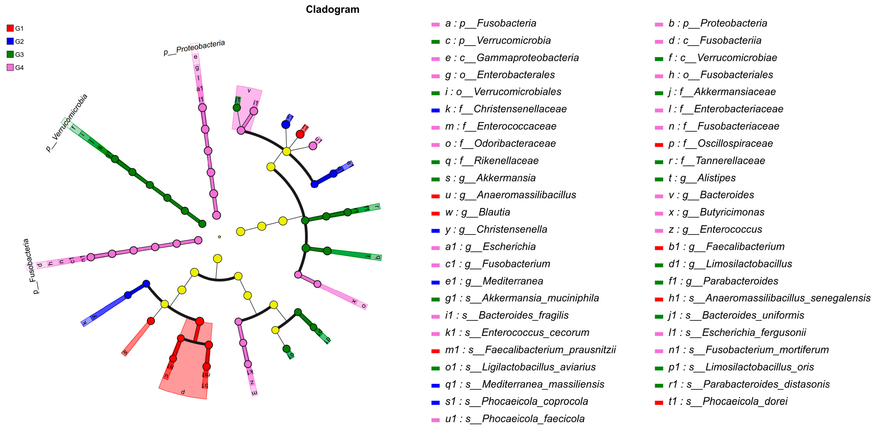 Vetsci 13 00118 g007