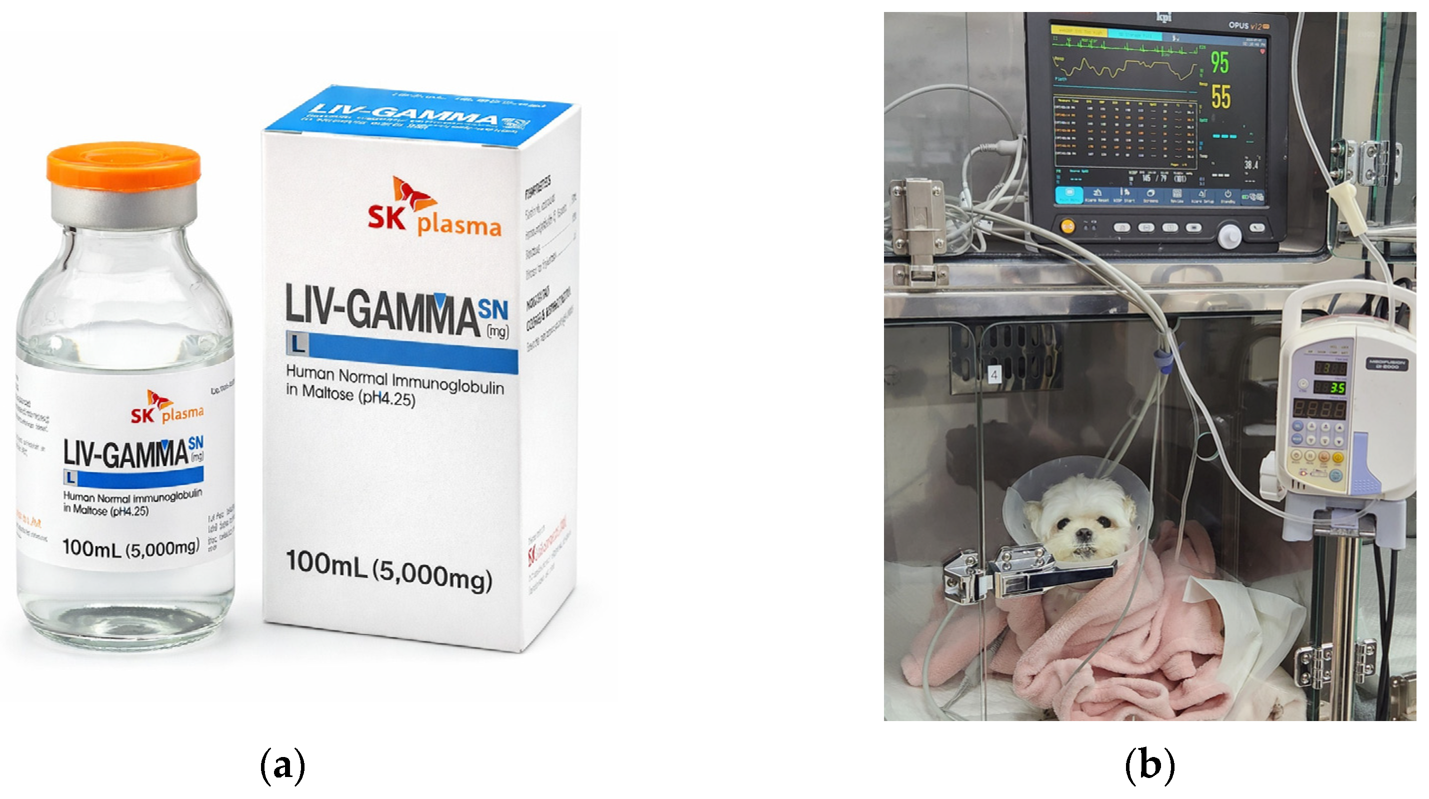 Vetsci 13 00145 g001