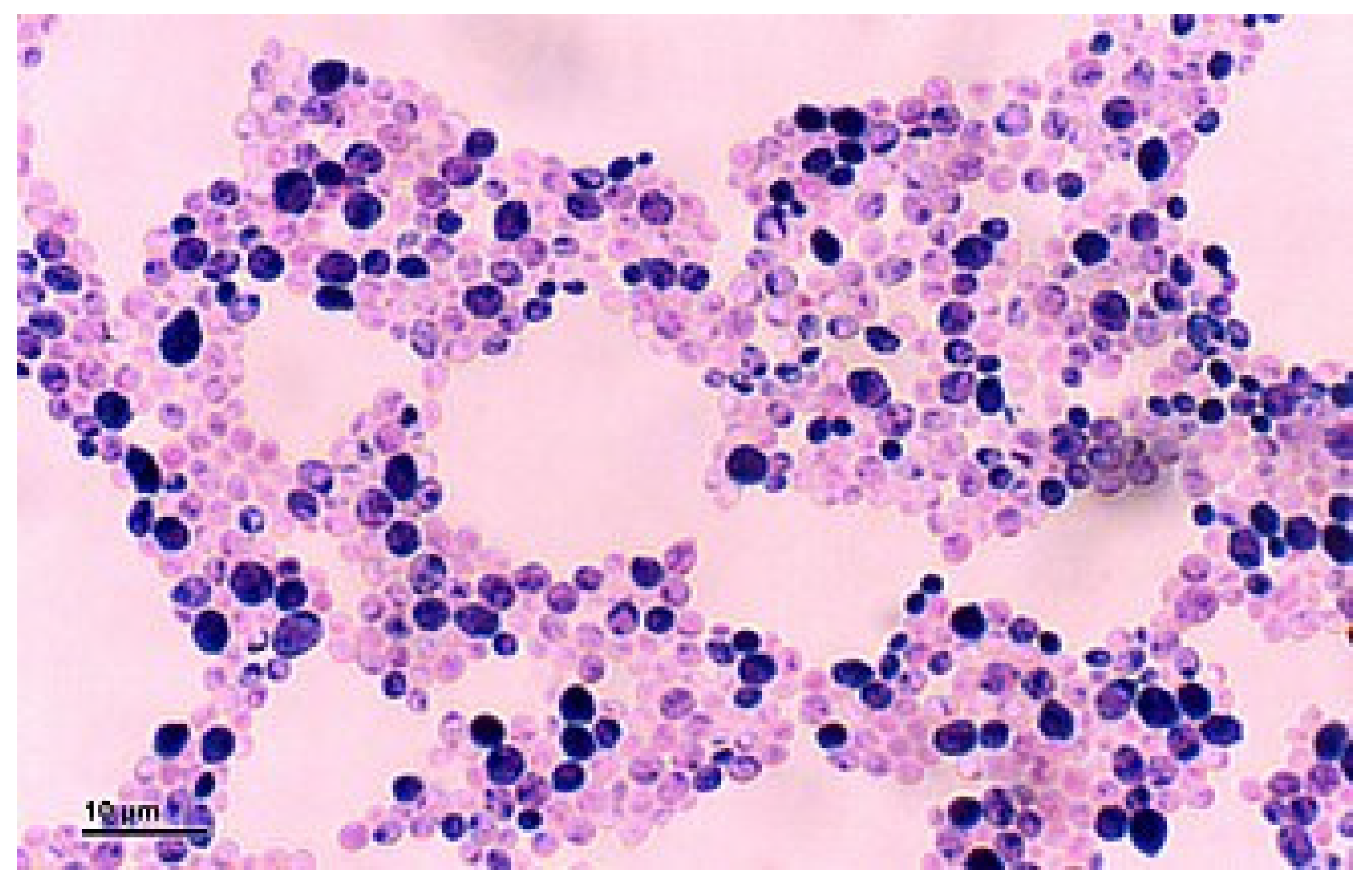 Vetsci 13 00171 g014 Vetsci 13 00171 g014