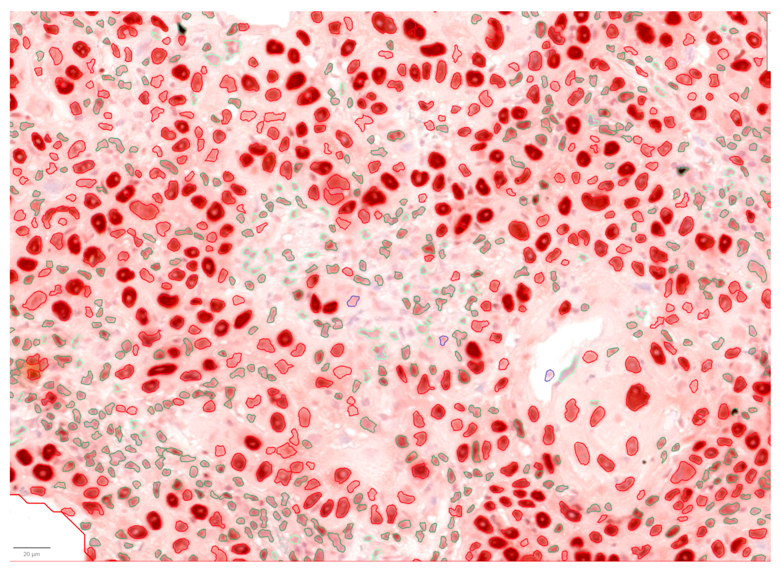 Vetsci 13 00212 g003 Vetsci 13 00212 g003