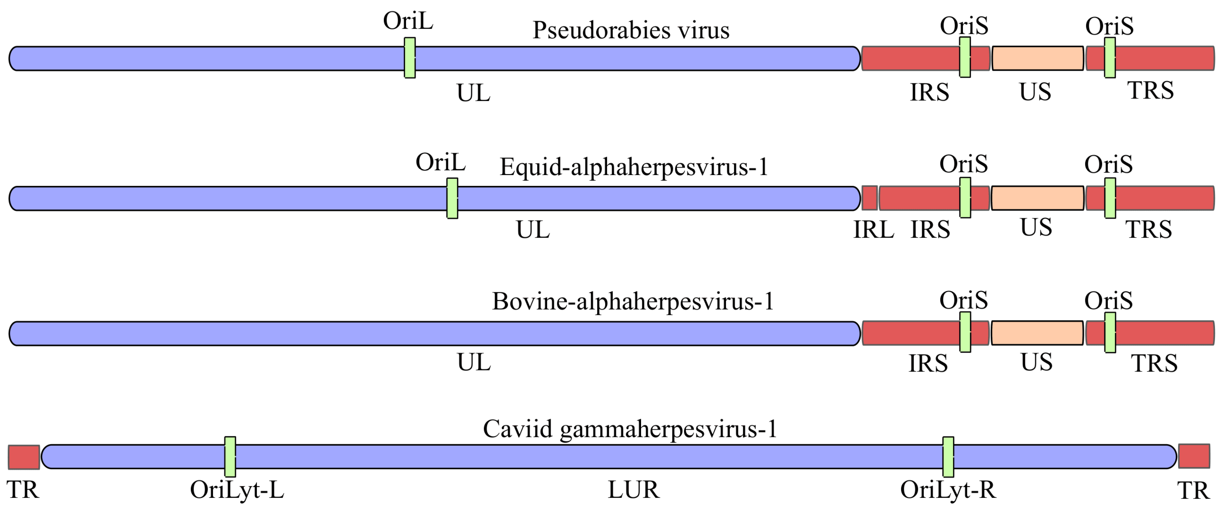 Vetsci 13 00228 g001