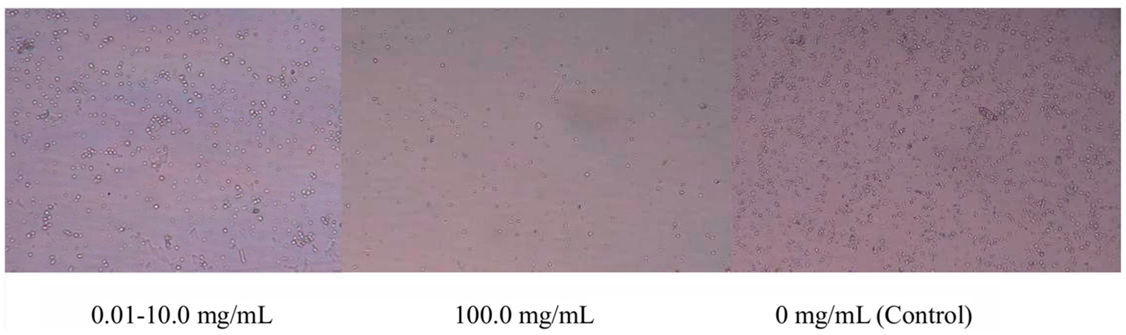 Vetsci 13 00271 g001