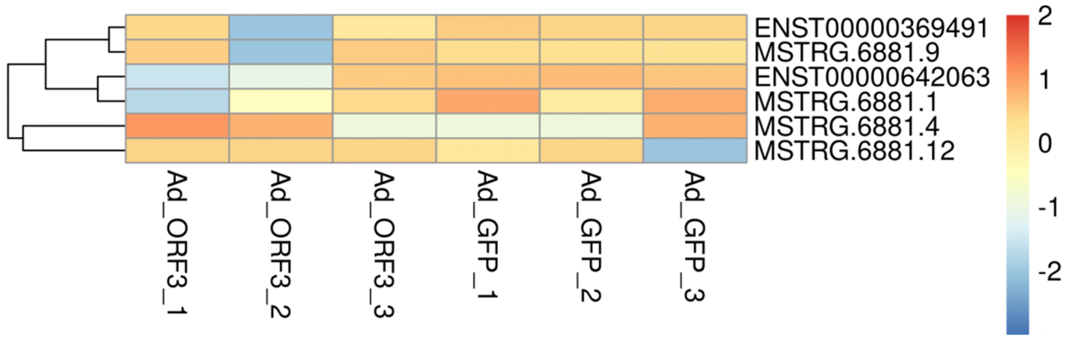 Vetsci 13 00276 g002 Vetsci 13 00276 g002