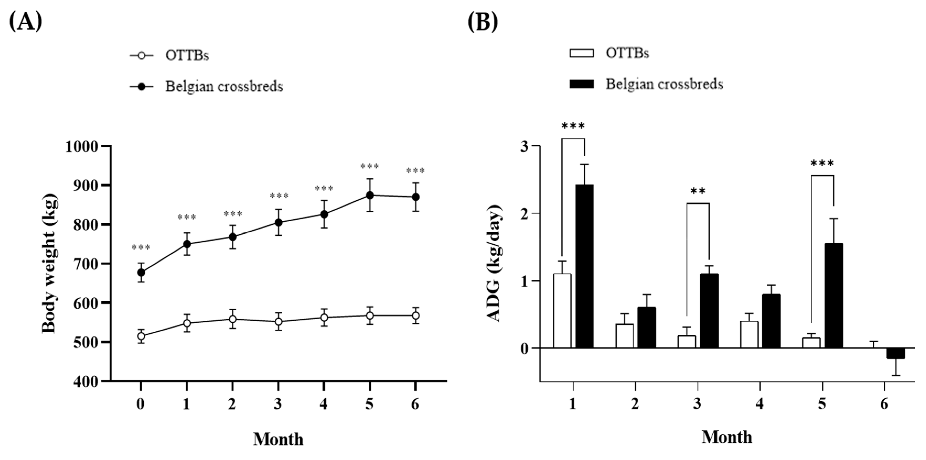 Vetsci 13 00280 g001 Vetsci 13 00280 g001
