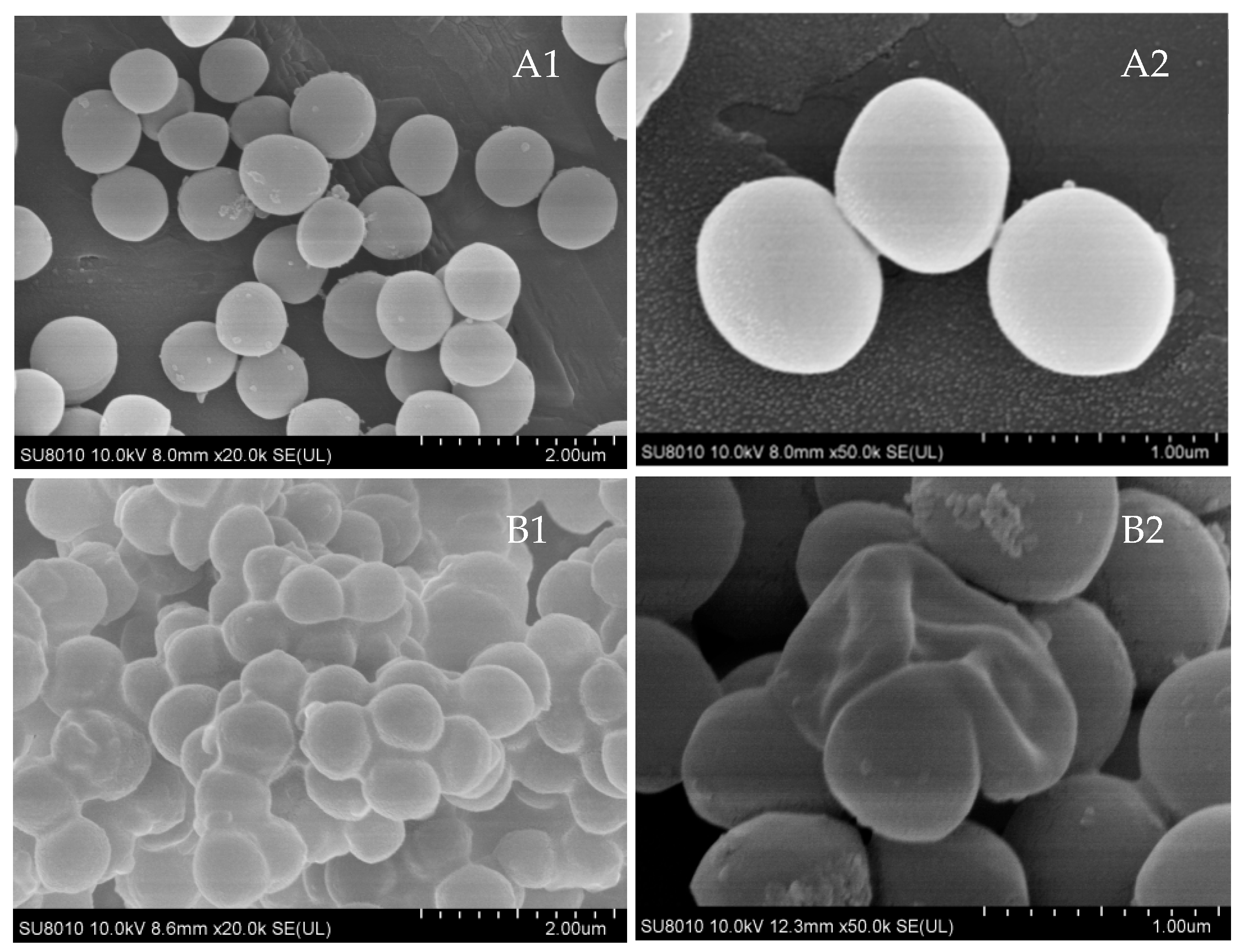 Vetsci 13 00285 g007 Vetsci 13 00285 g007