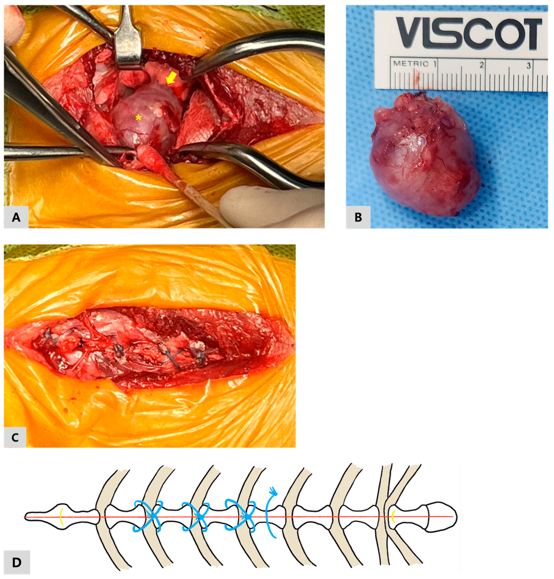 Vetsci 13 00311 g003