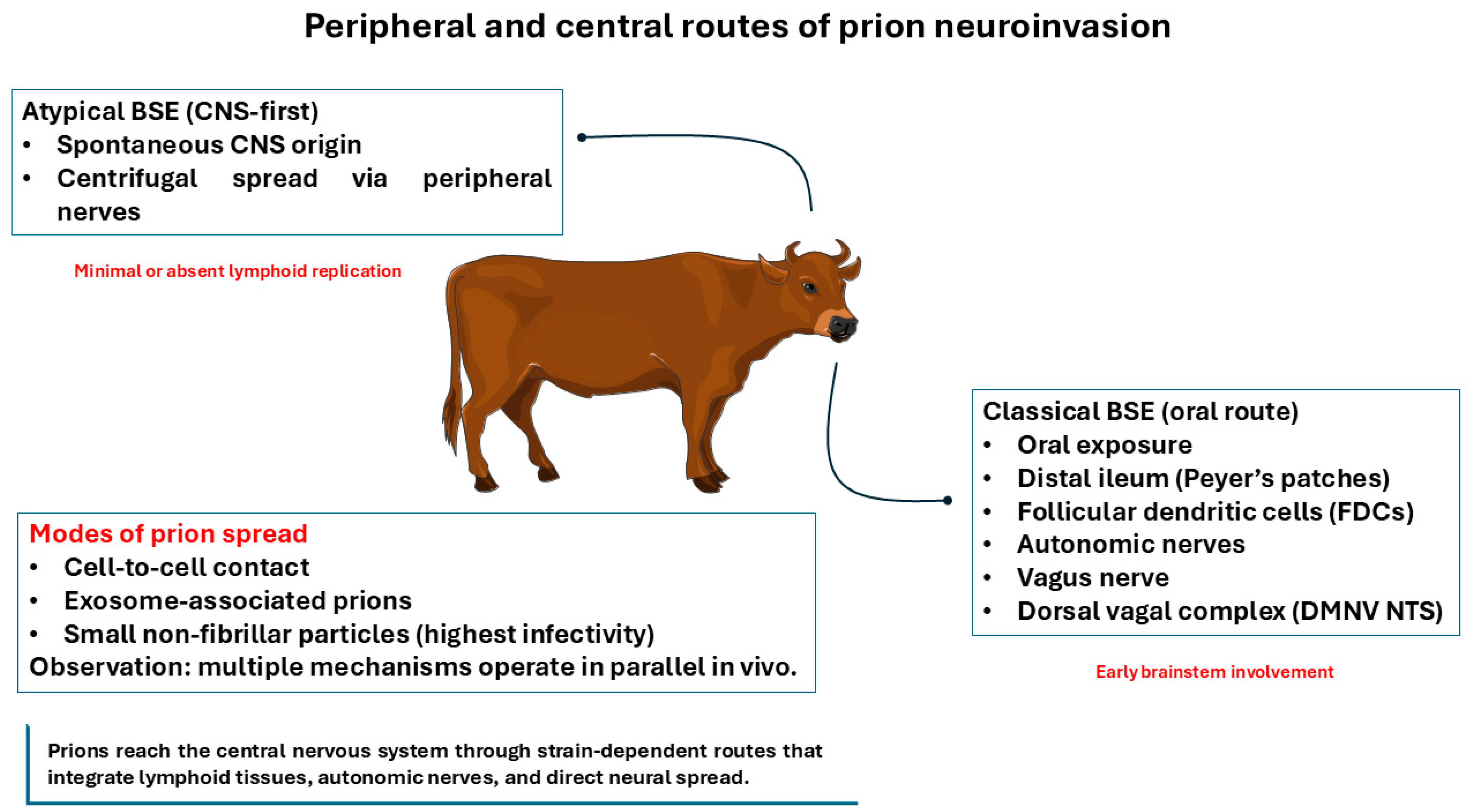 Vetsci 13 00398 g003 Vetsci 13 00398 g003