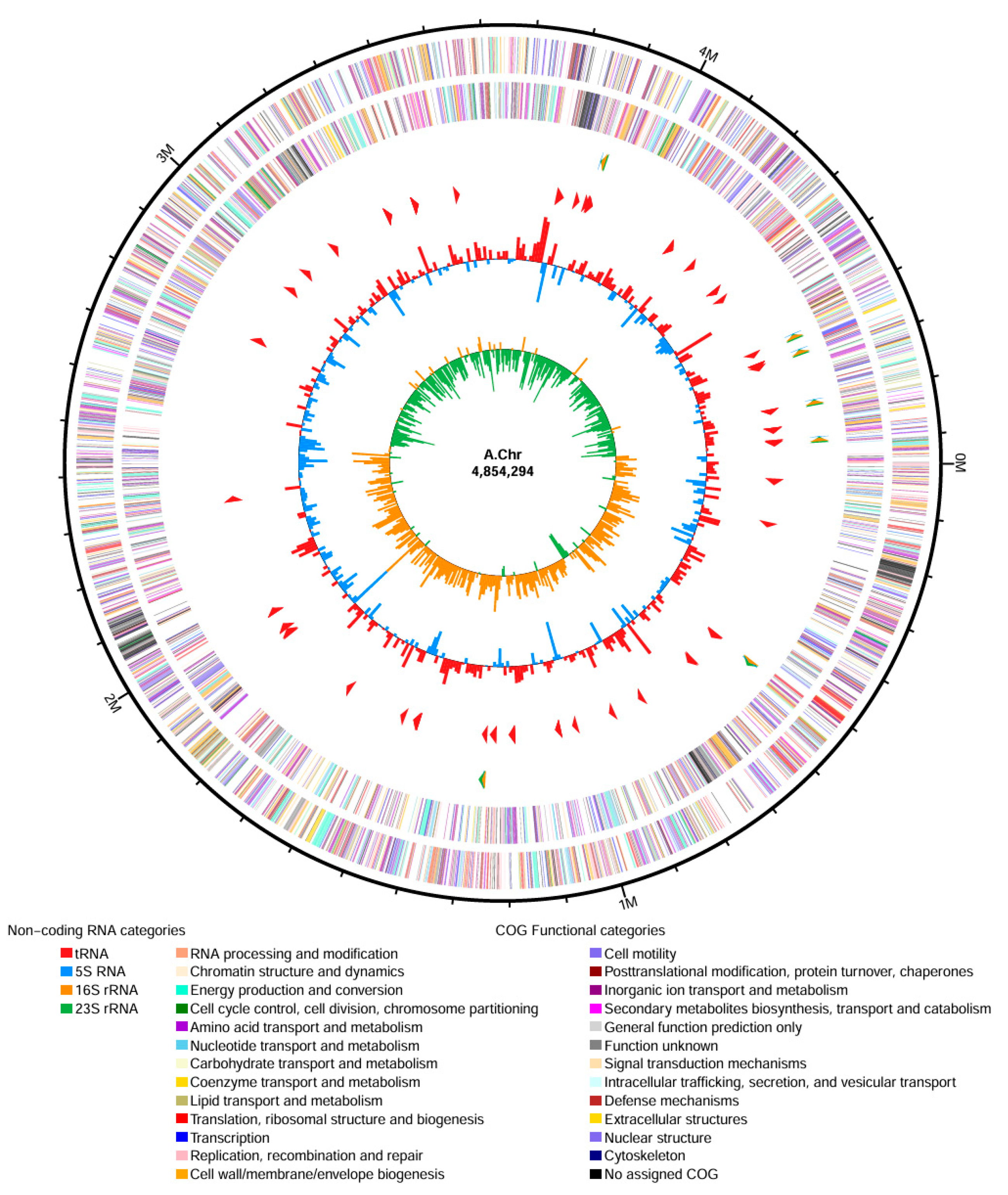 Vetsci 13 00401 g004 Vetsci 13 00401 g004