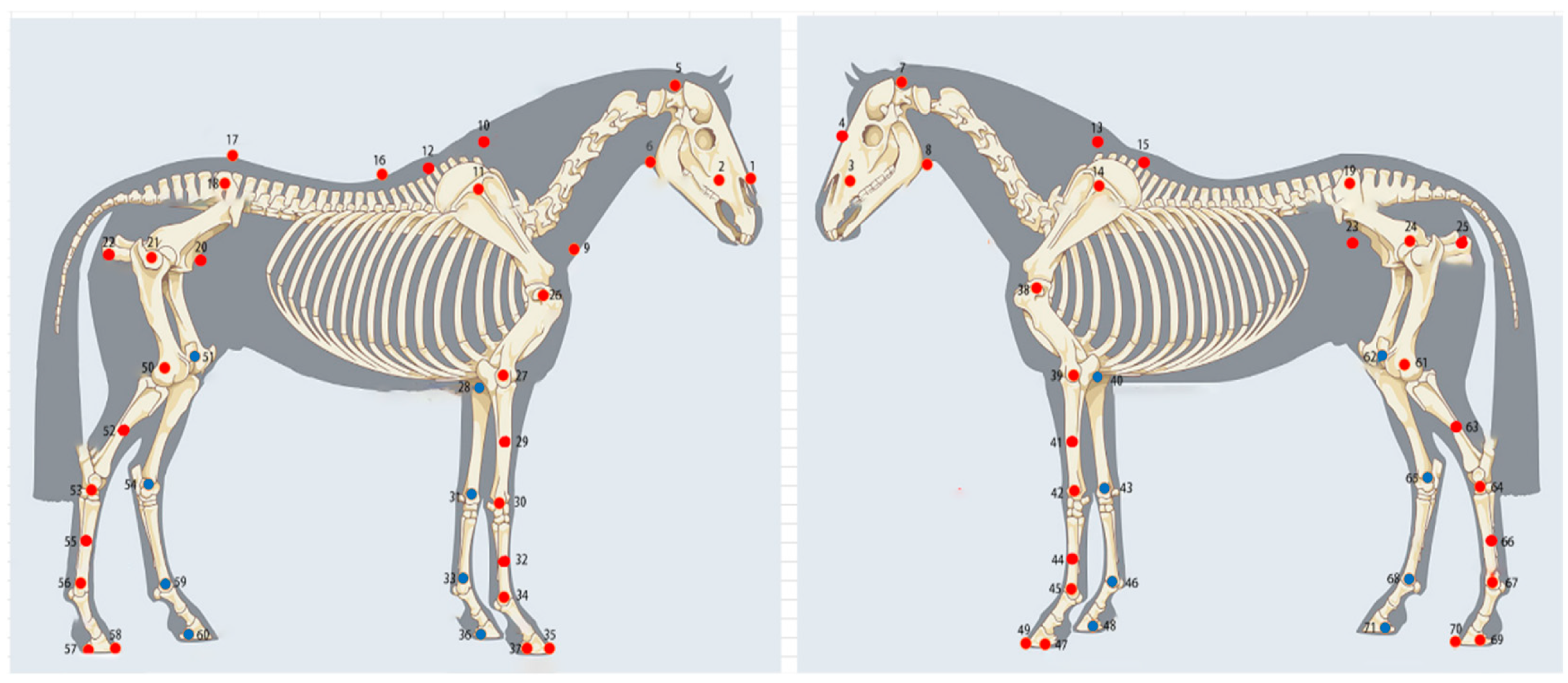 Vetsci 13 00404 g002