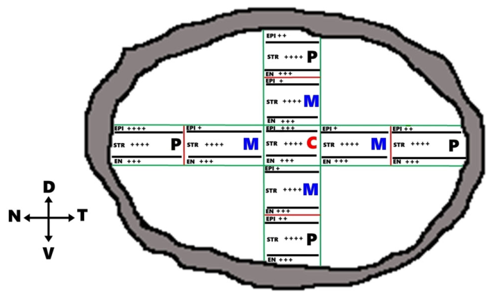 Vetsci 13 00425 g009 Vetsci 13 00425 g009