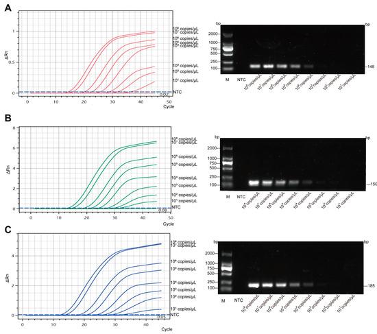 Development of a Multiplex TaqMan Real-Time PCR Assay for the ...