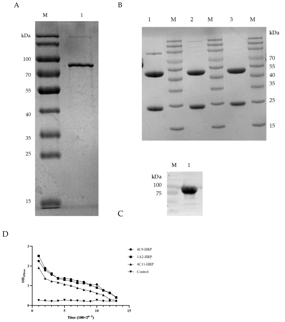Vetsci 13 00741 g001