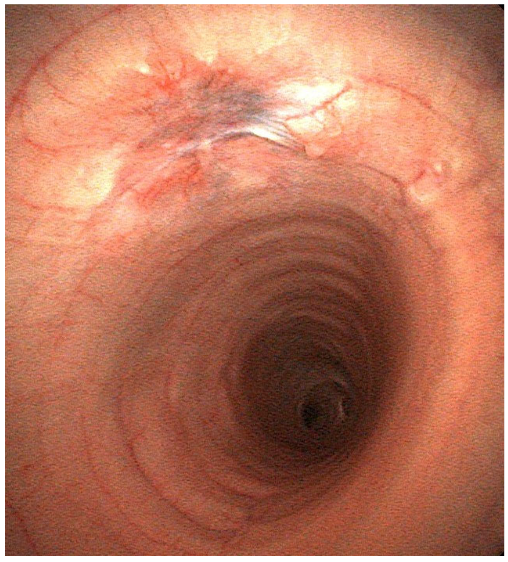 Vetsci 13 00800 g004