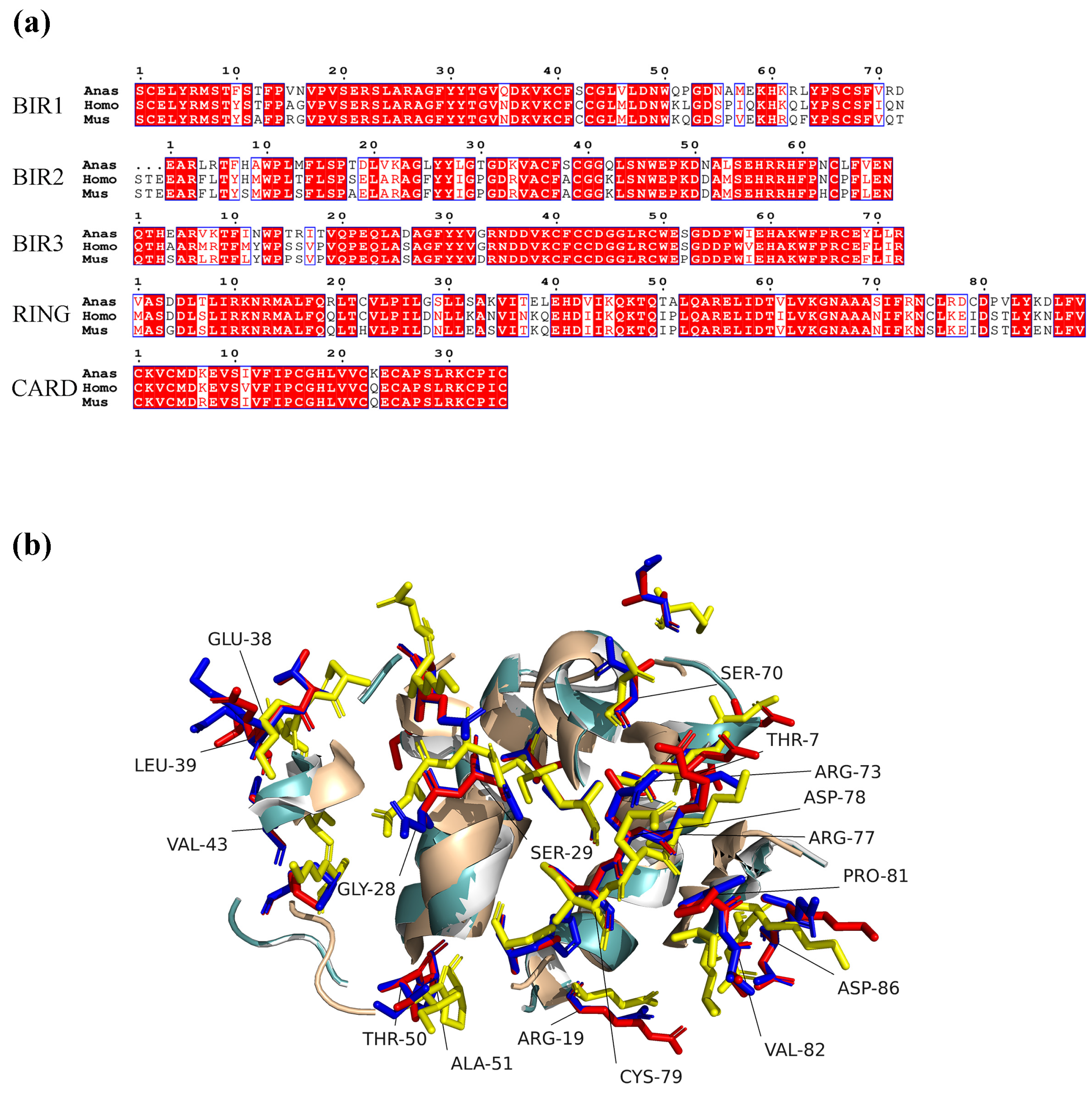 Vetsci 13 00830 g008