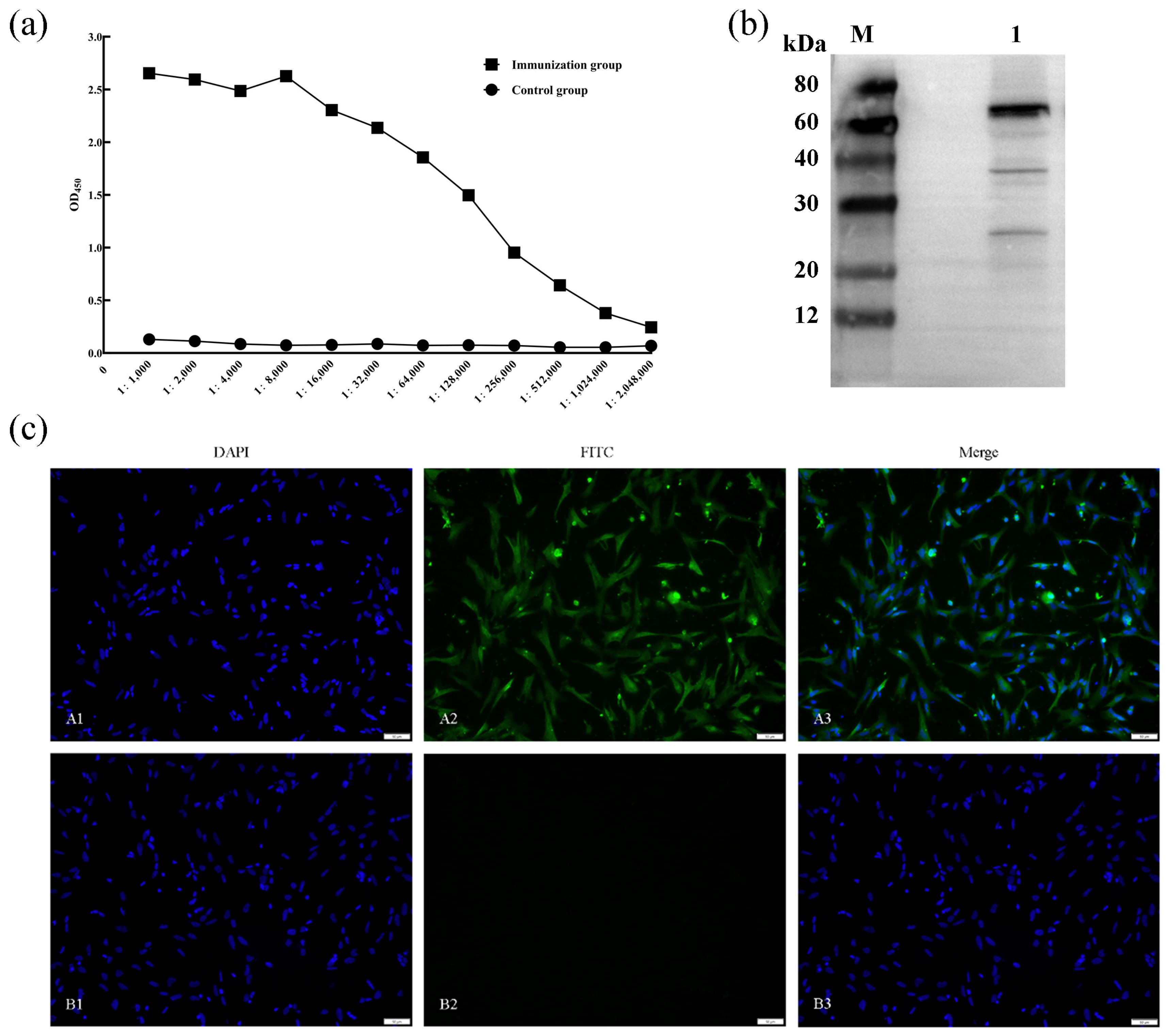 Vetsci 13 00830 g011