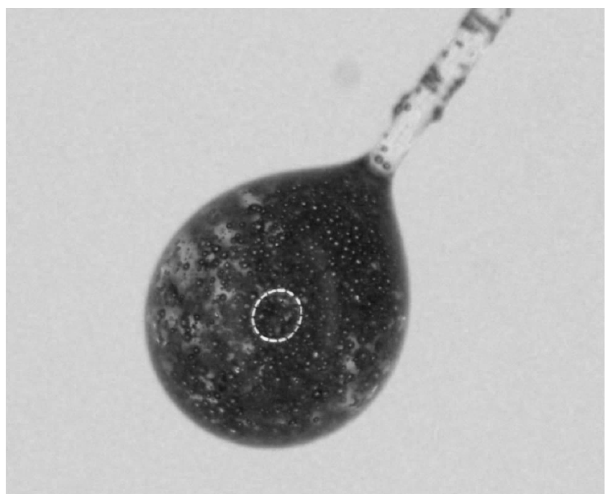 Vibration 01 00017 g005 Vibration 01 00017 g005