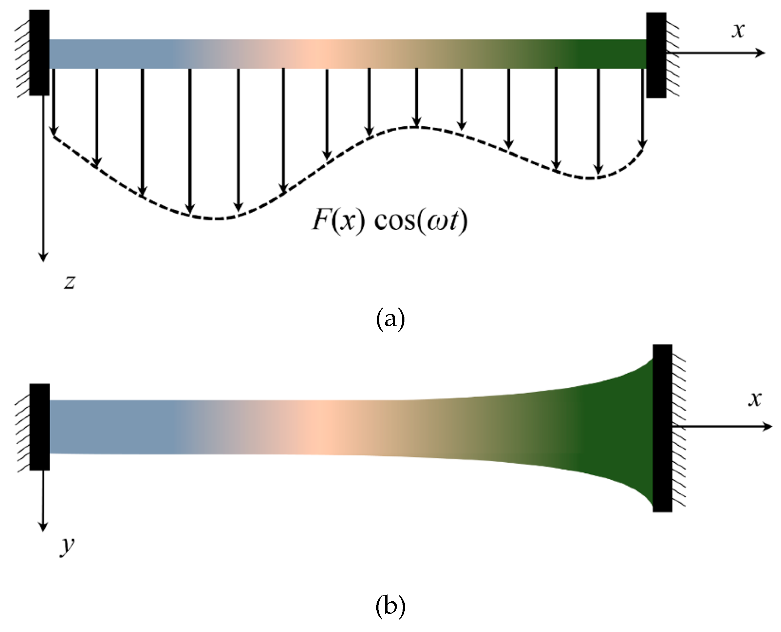 Asymmetric Oscillations of AFG Microscale Nonuniform