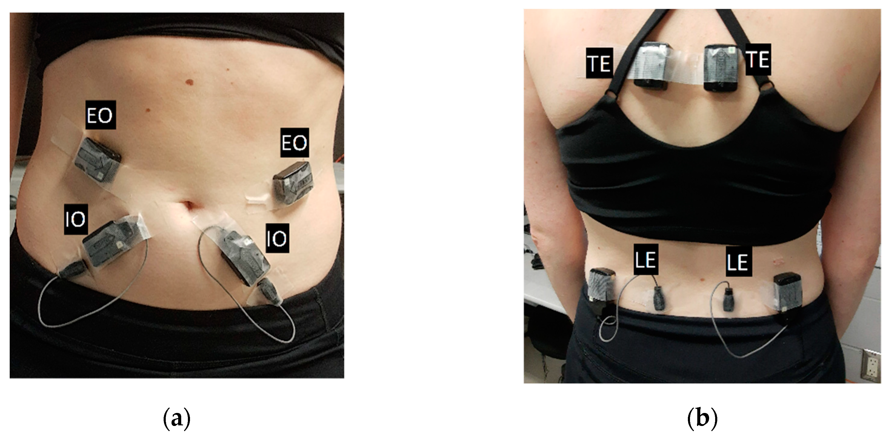 Vibration 04 00046 g001