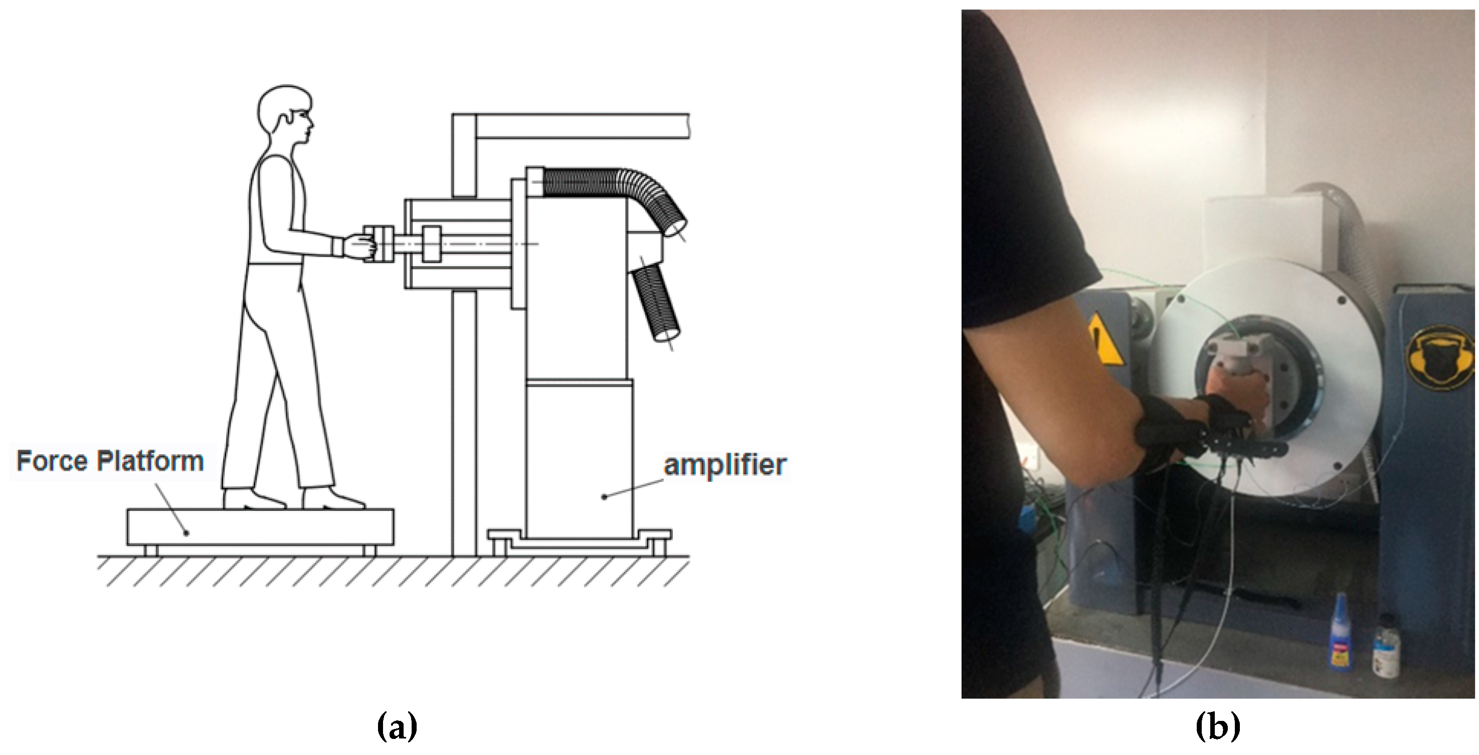 Vibration 05 00009 g003