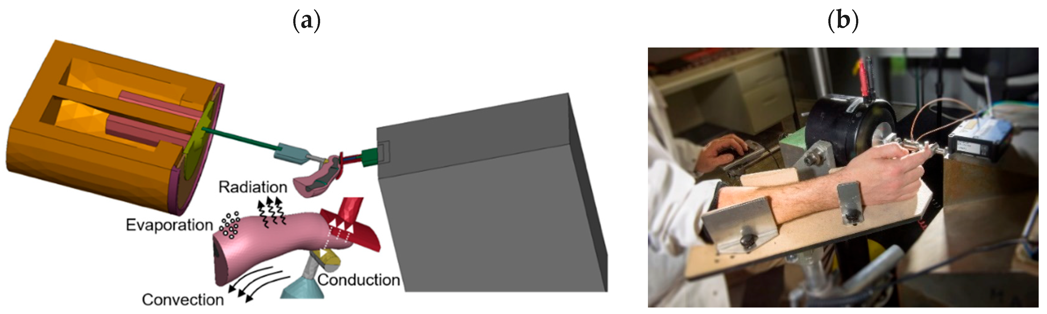 Vibration 05 00014 g004 Vibration 05 00014 g004