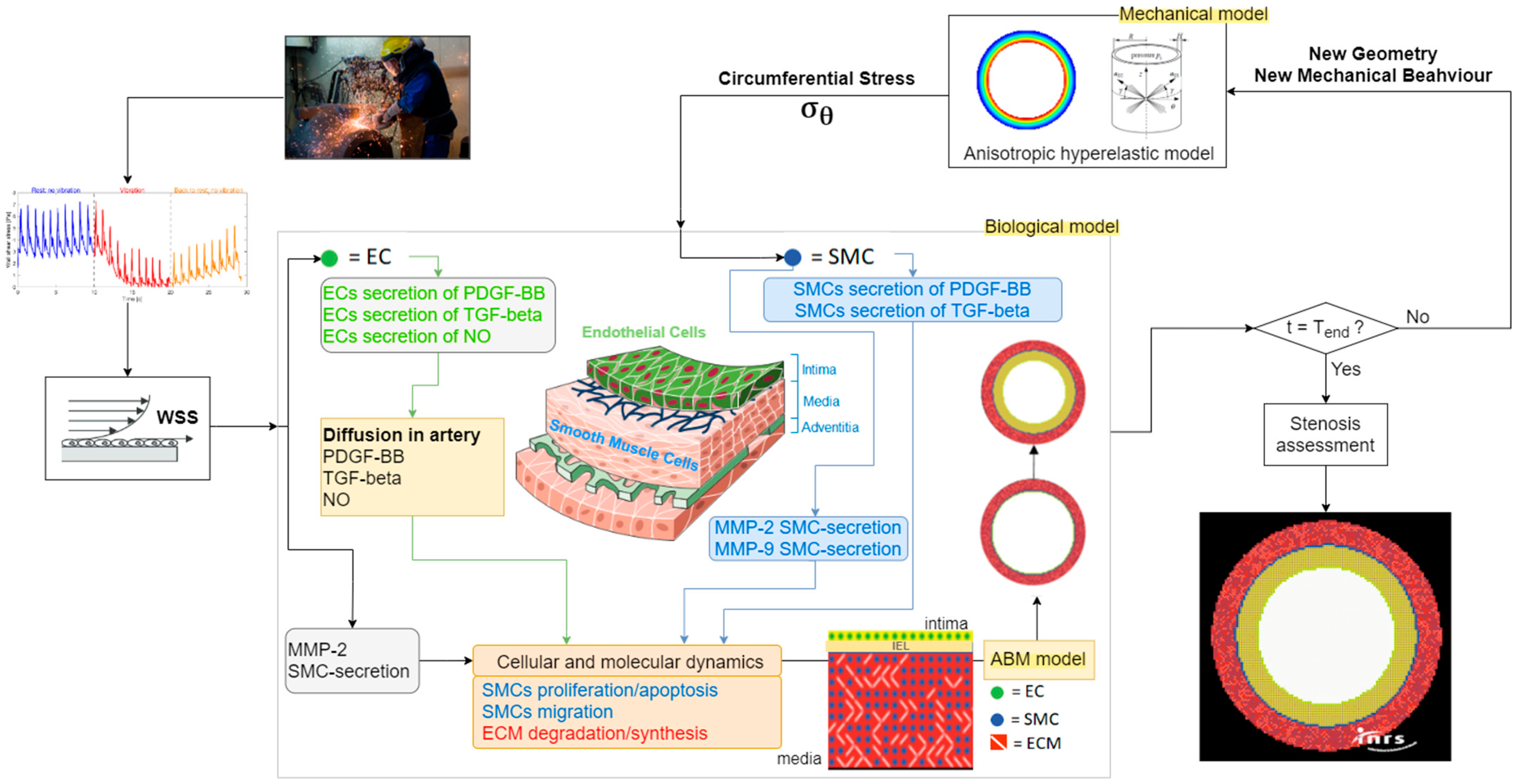 Vibration 05 00014 g008 Vibration 05 00014 g008