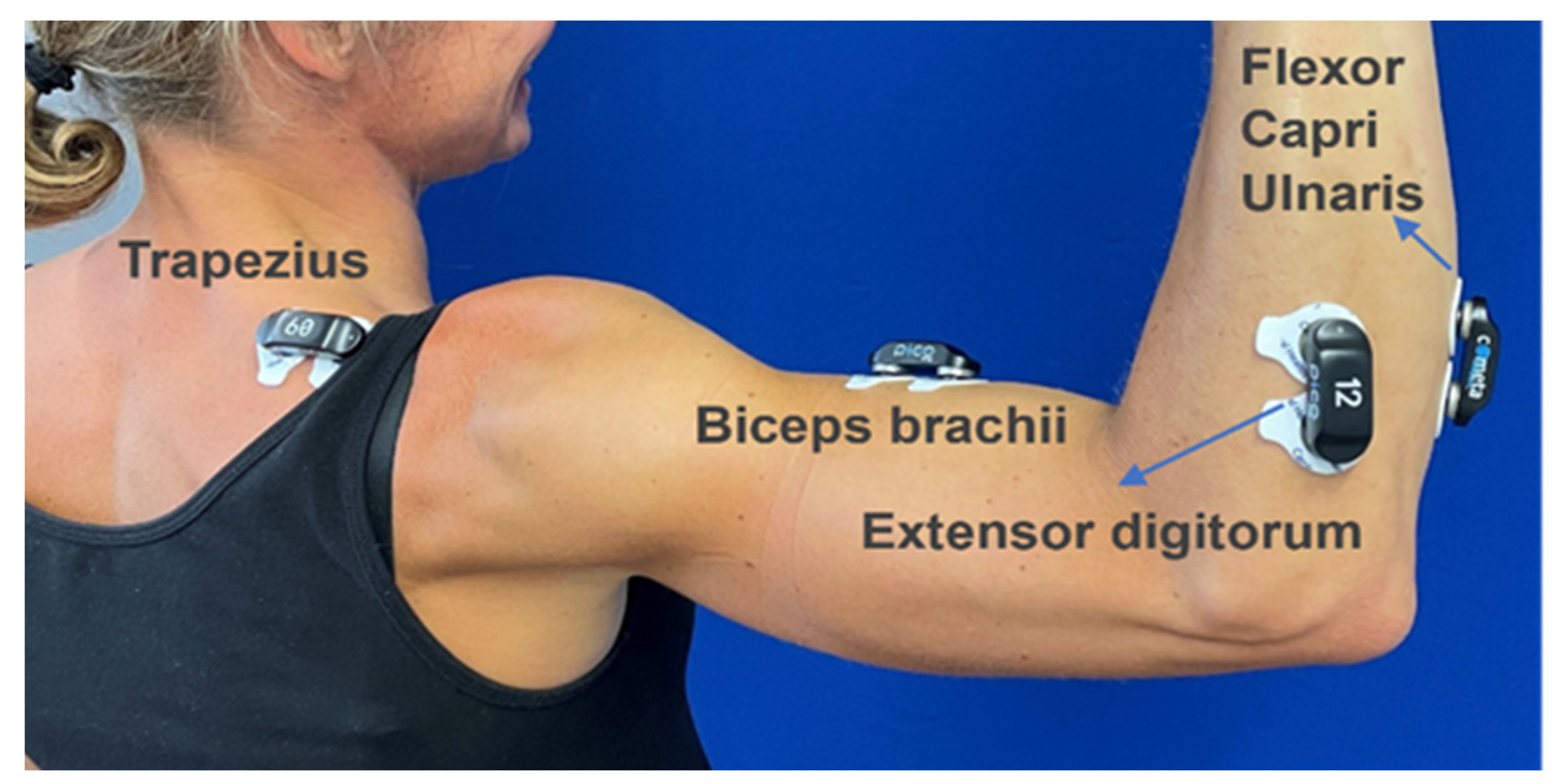 Vibration 07 00024 g003