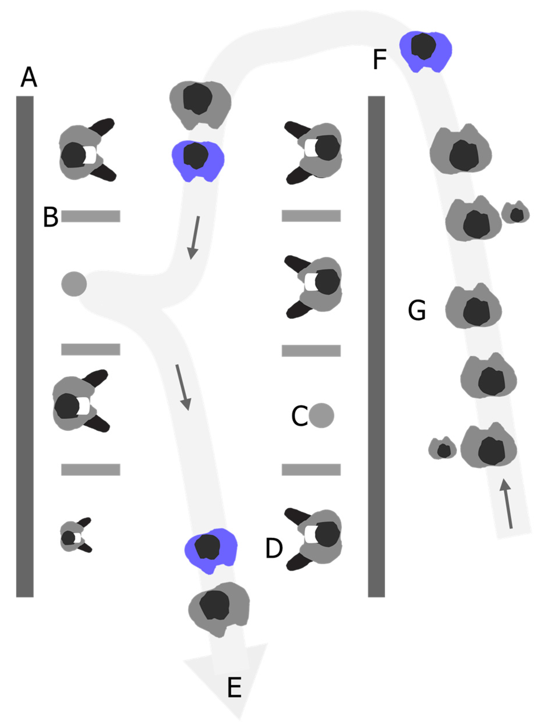 Virtualworlds 03 00009 g002